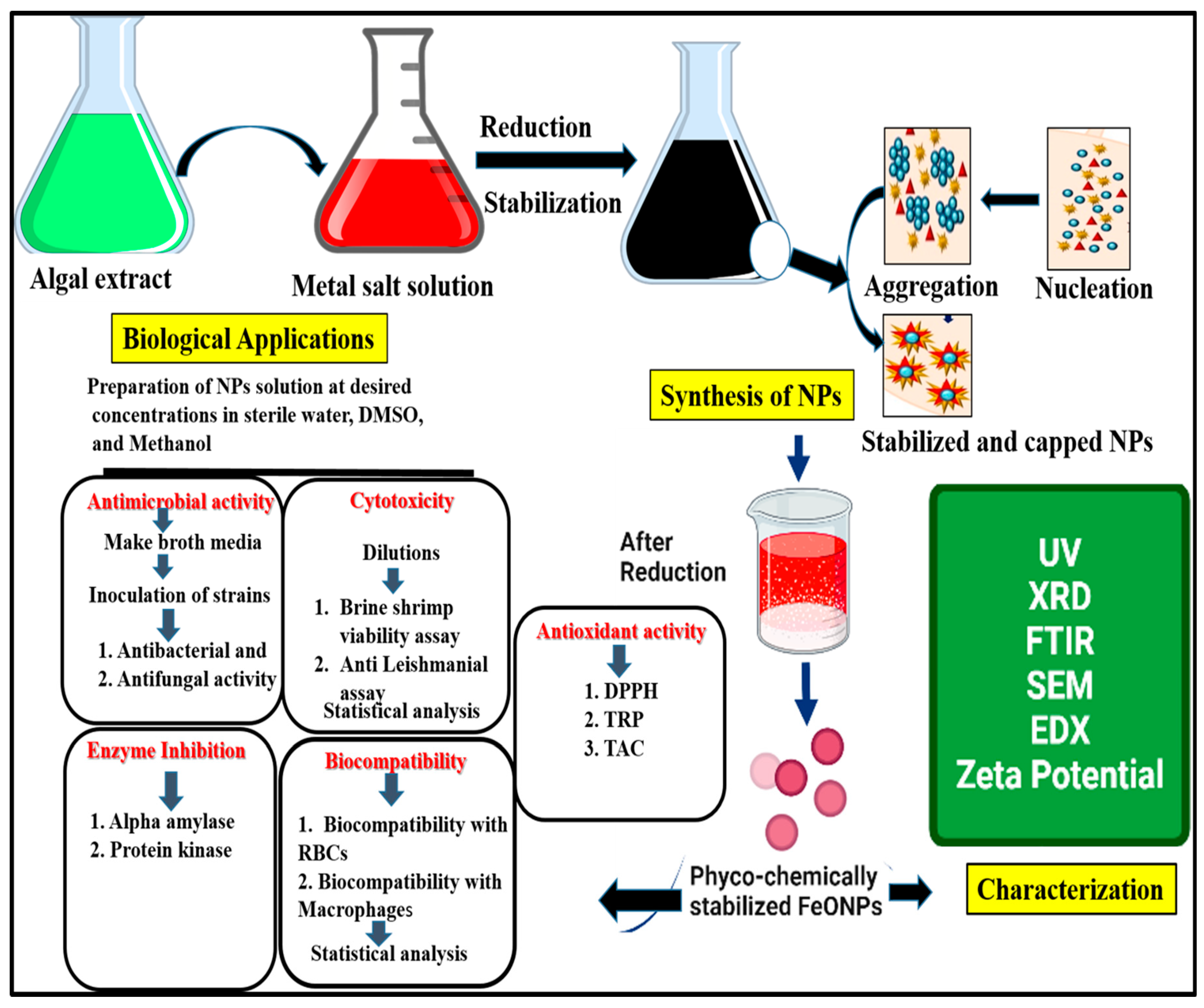Toxics 11 00561 g002
