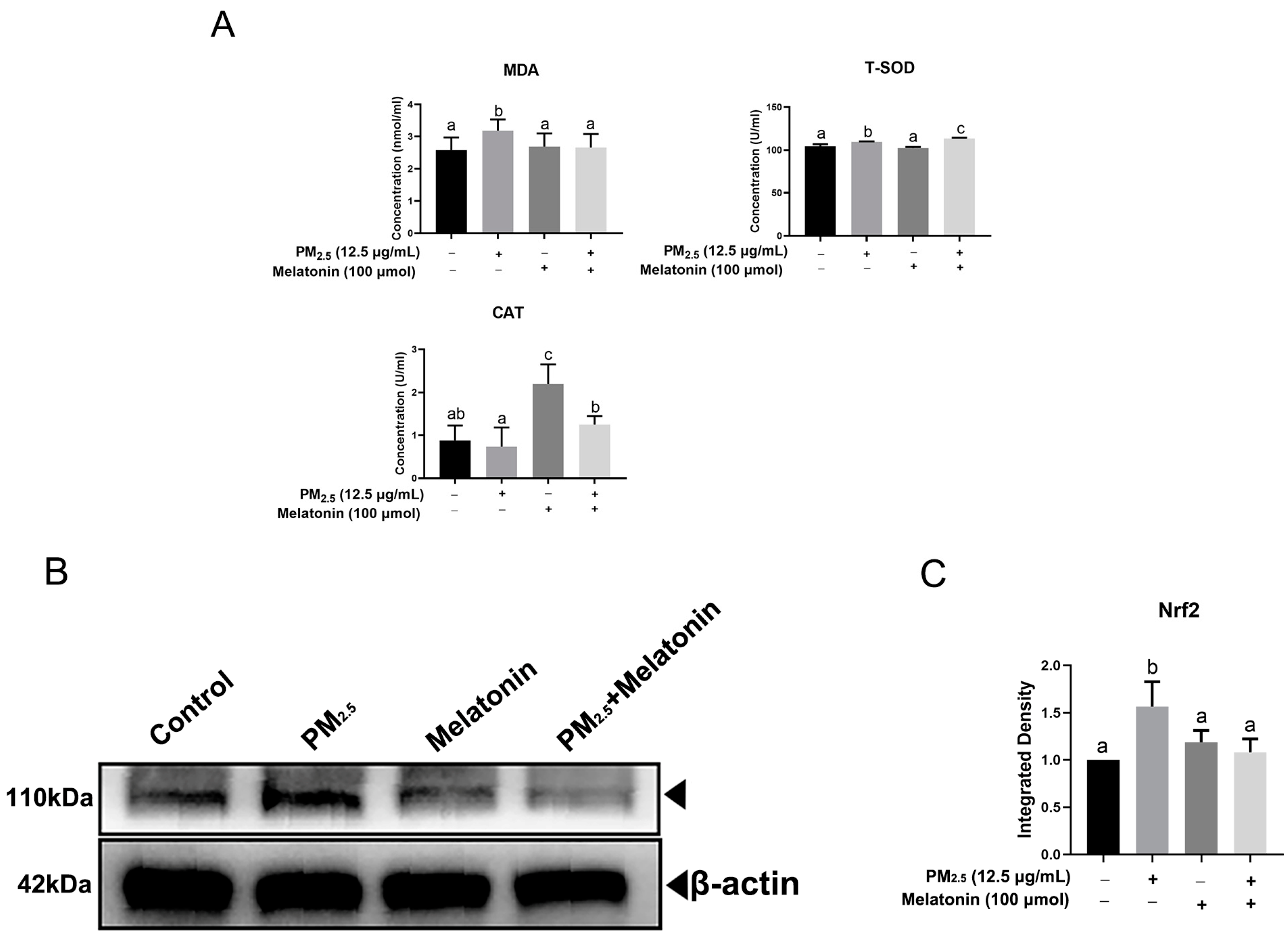 Toxics 11 00562 g006