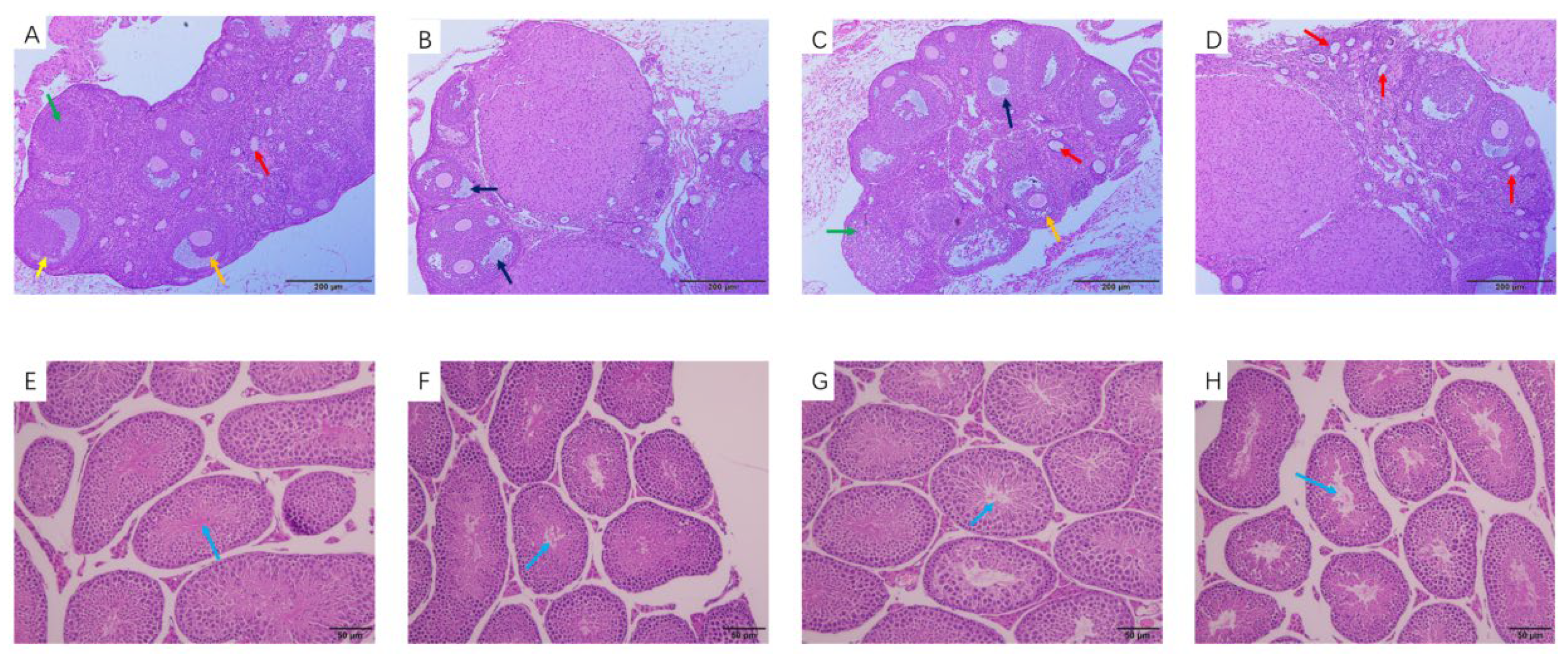 Toxics 11 00565 g002