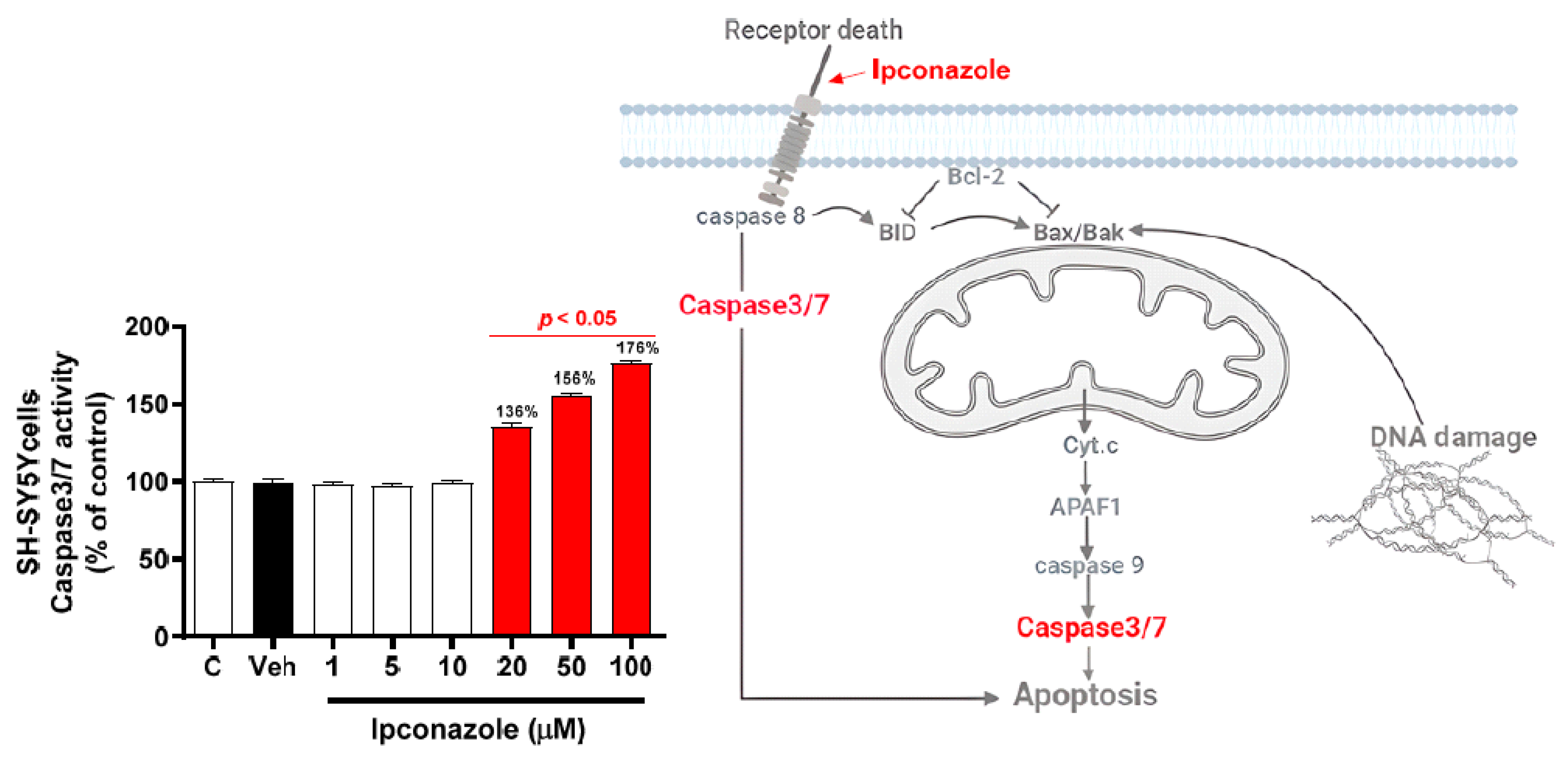 Toxics 11 00566 g003 Toxics 11 00566 g003