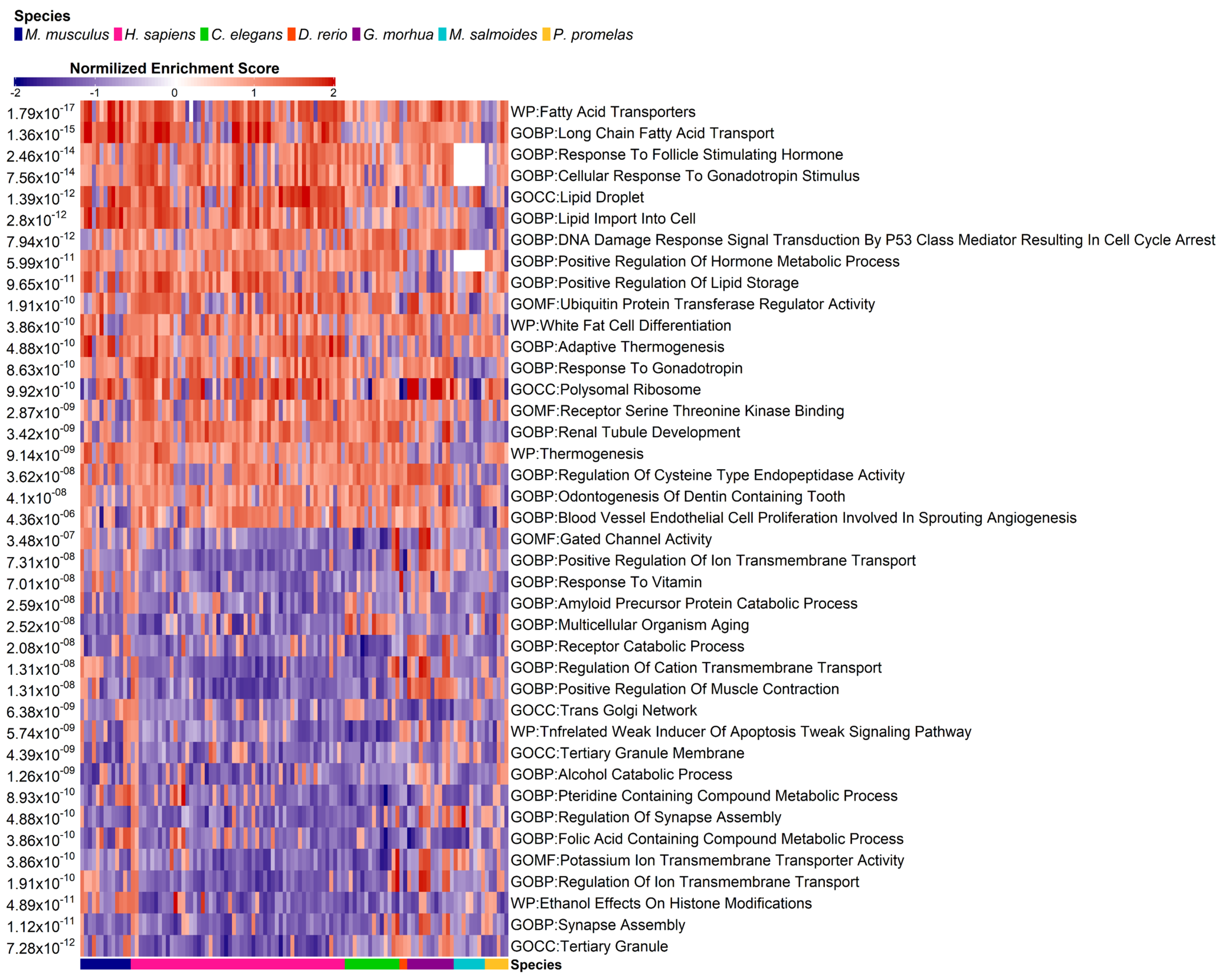 Toxics 11 00567 g006