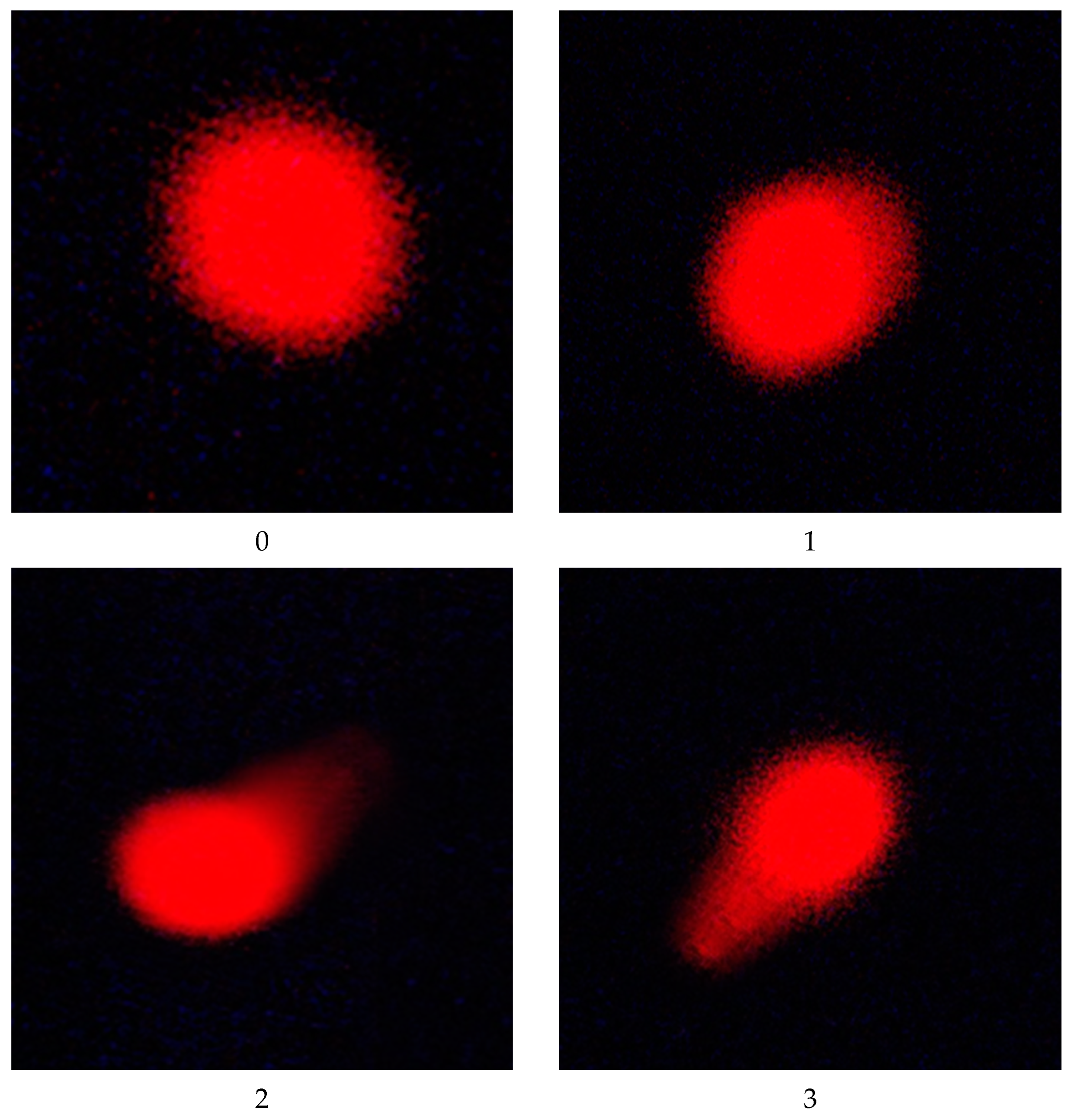 Toxics 11 00569 g001 Toxics 11 00569 g001