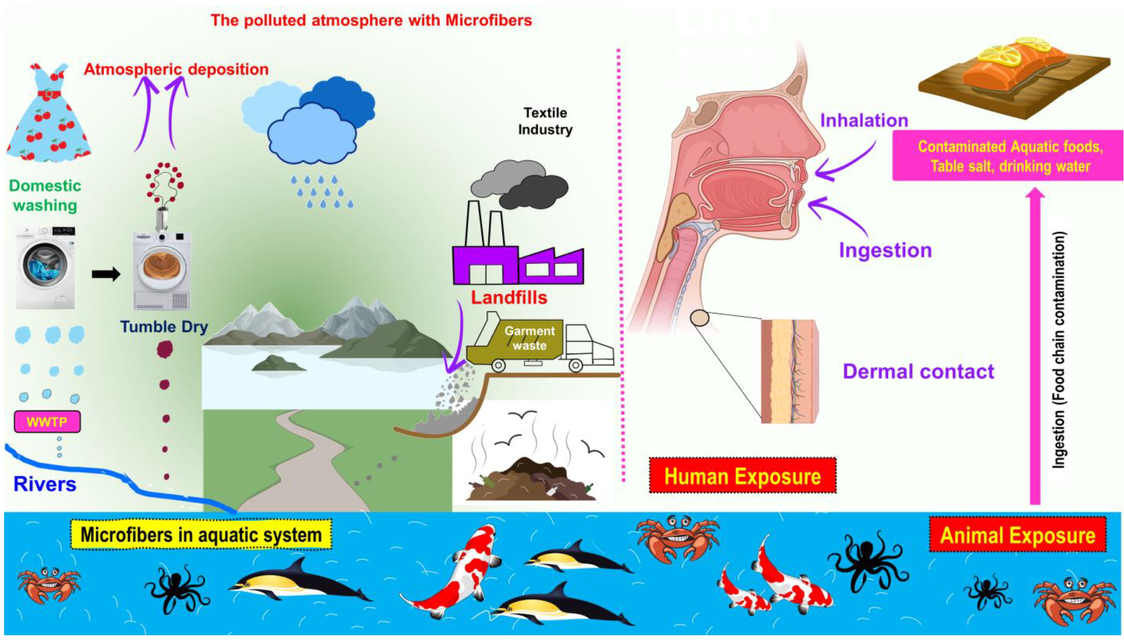 Toxics 11 00575 g002 Toxics 11 00575 g002