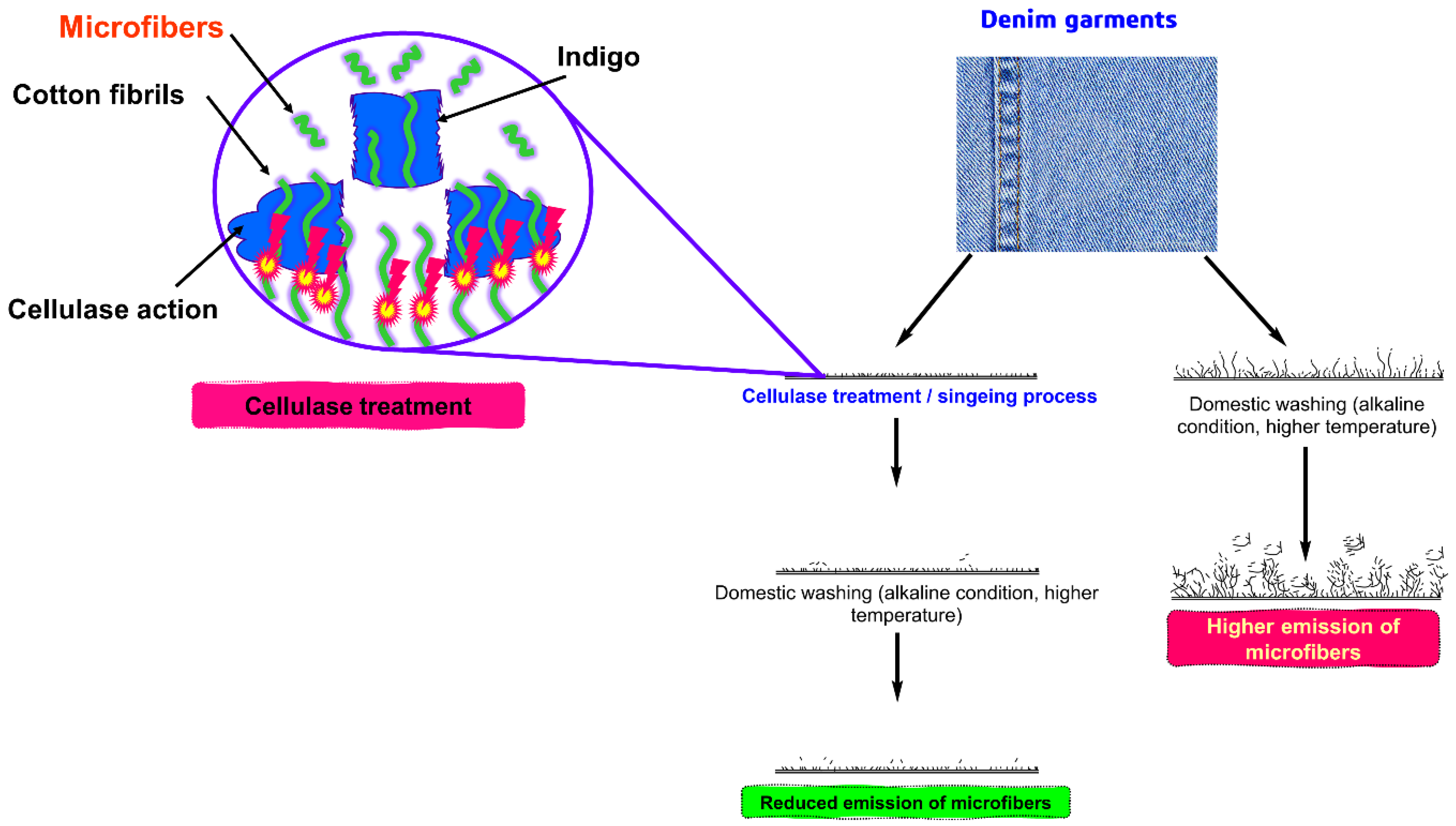 Toxics 11 00575 g008 Toxics 11 00575 g008
