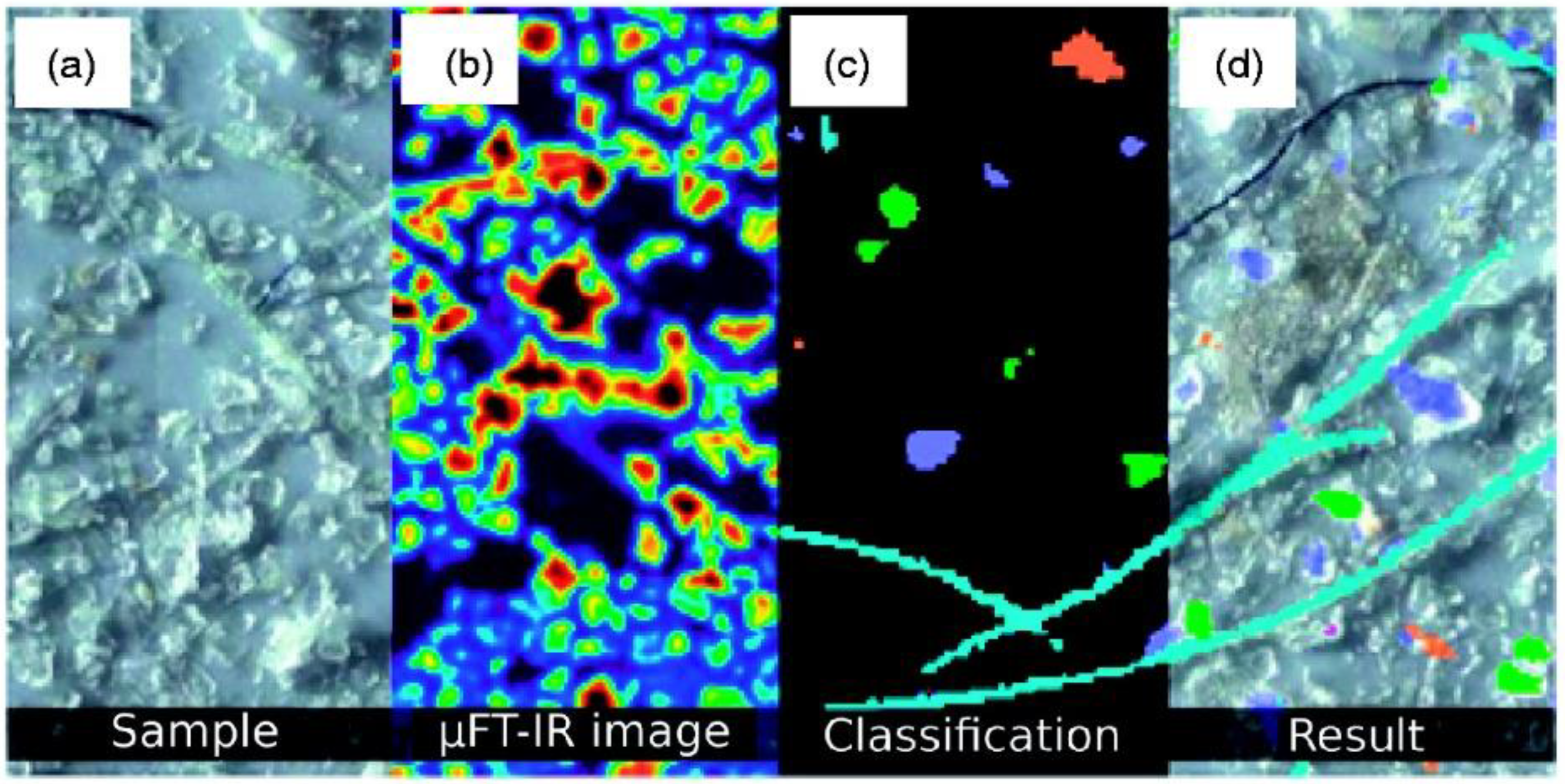 Toxics 11 00575 g013 Toxics 11 00575 g013