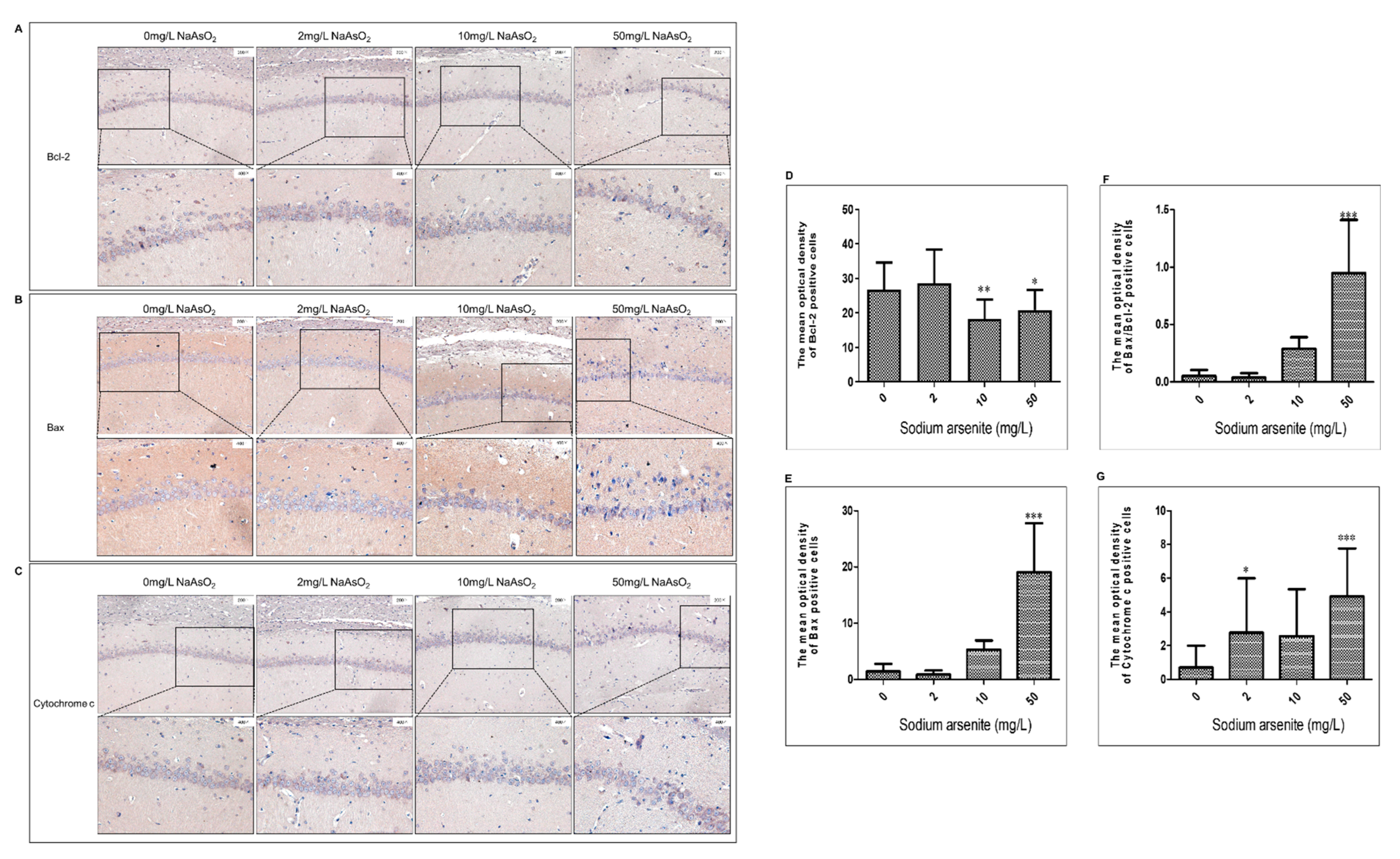 Toxics 11 00576 g003 Toxics 11 00576 g003