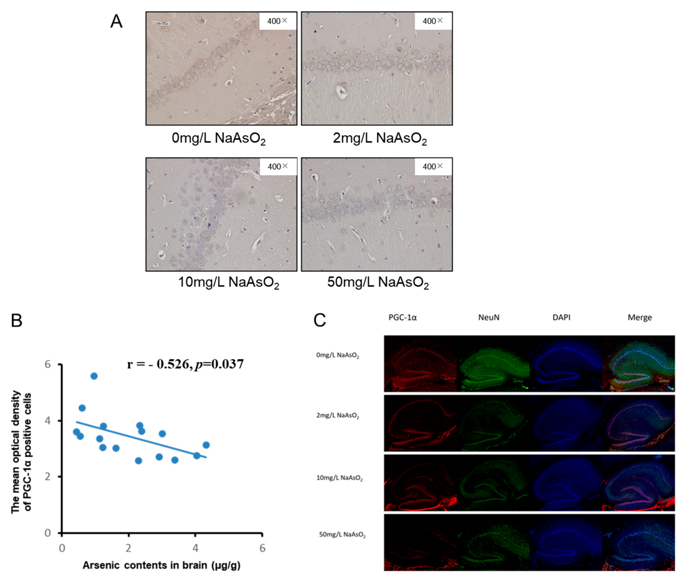 Toxics 11 00576 g004 Toxics 11 00576 g004