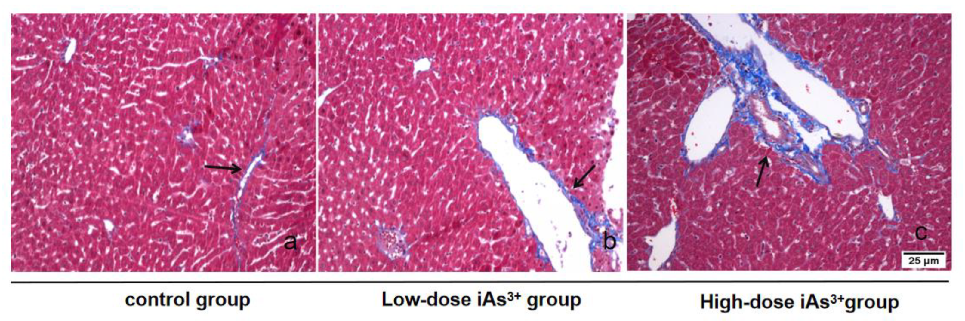 Toxics 11 00578 g002 Toxics 11 00578 g002