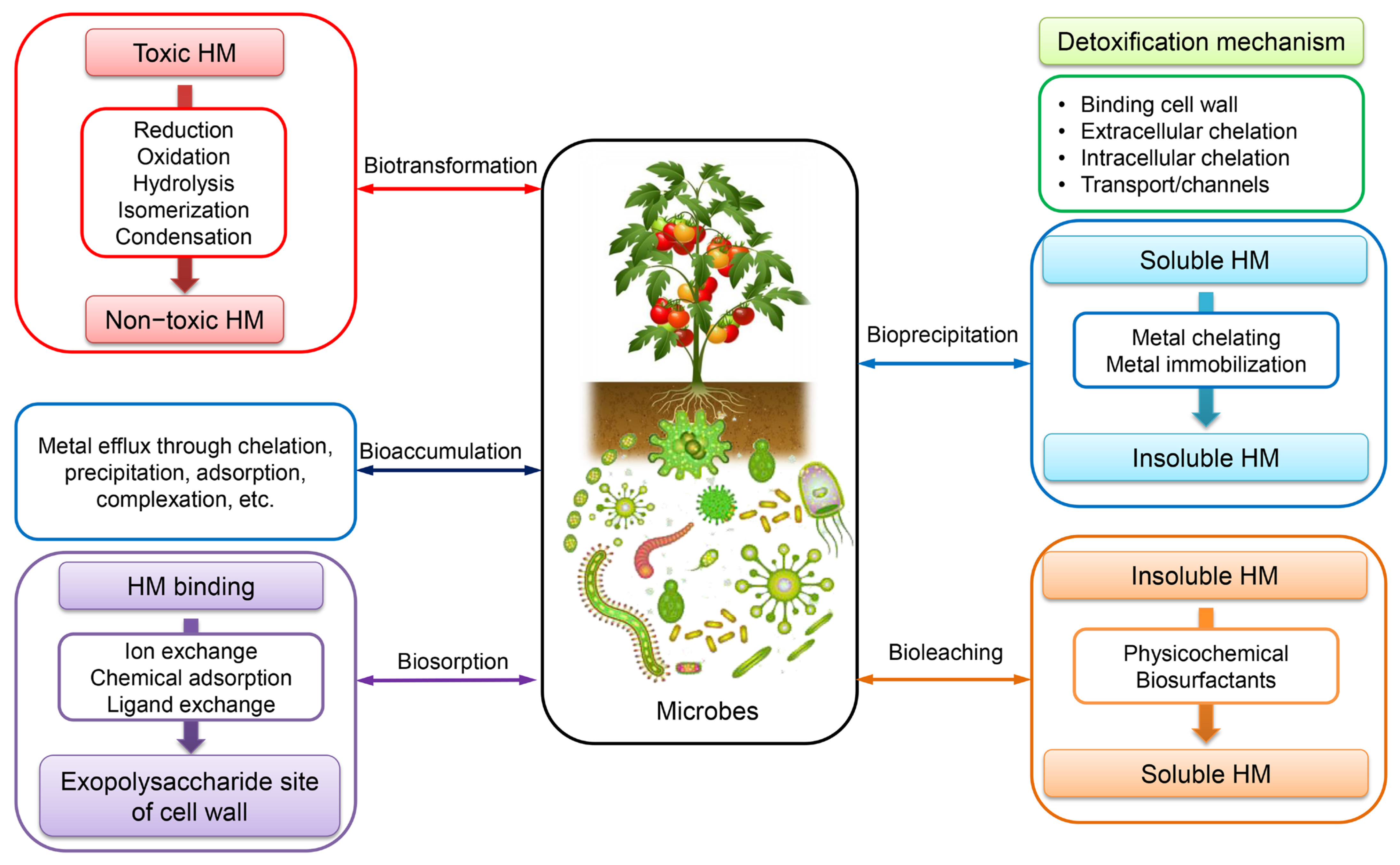 Toxics 11 00580 g005