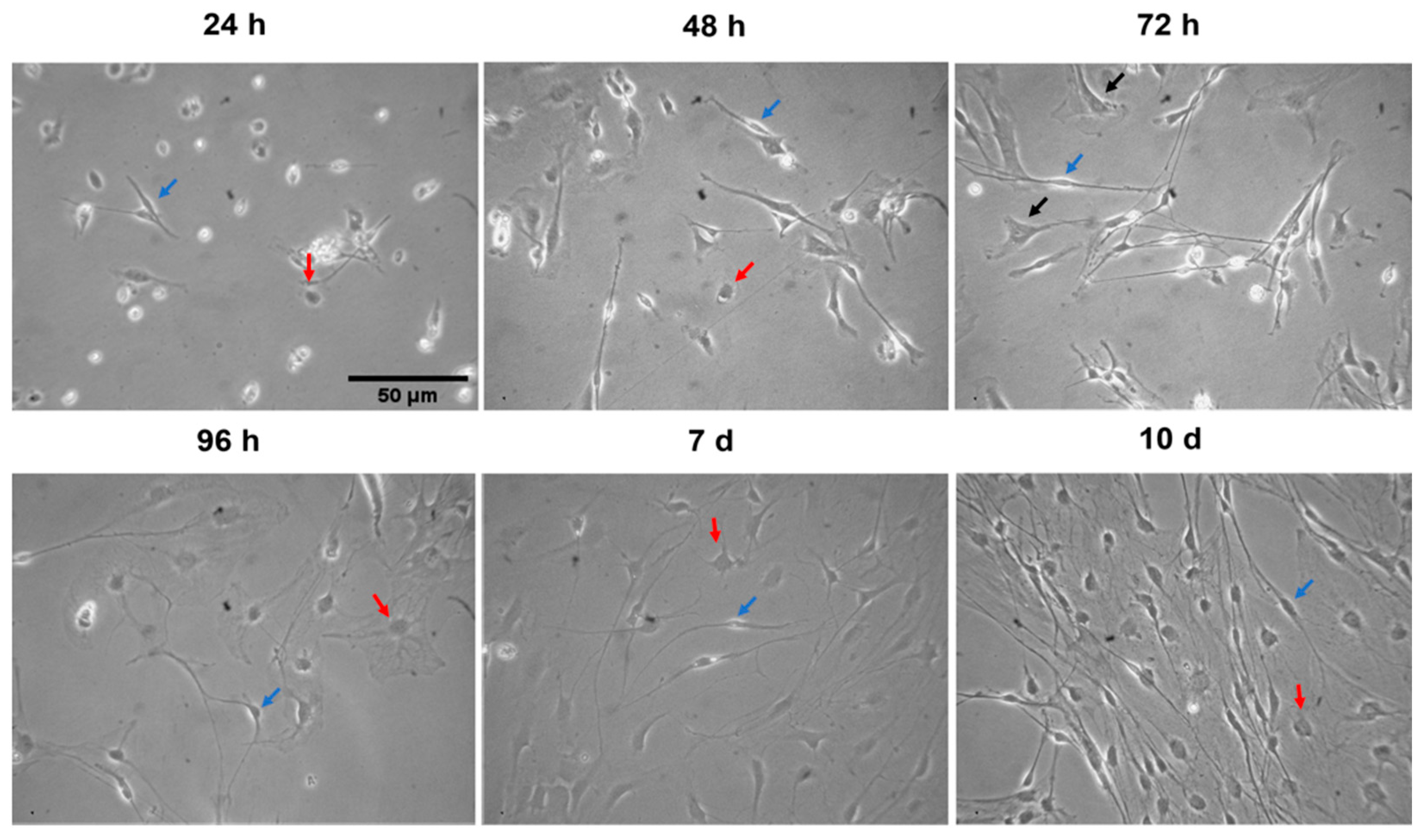 Toxics 11 00581 g004