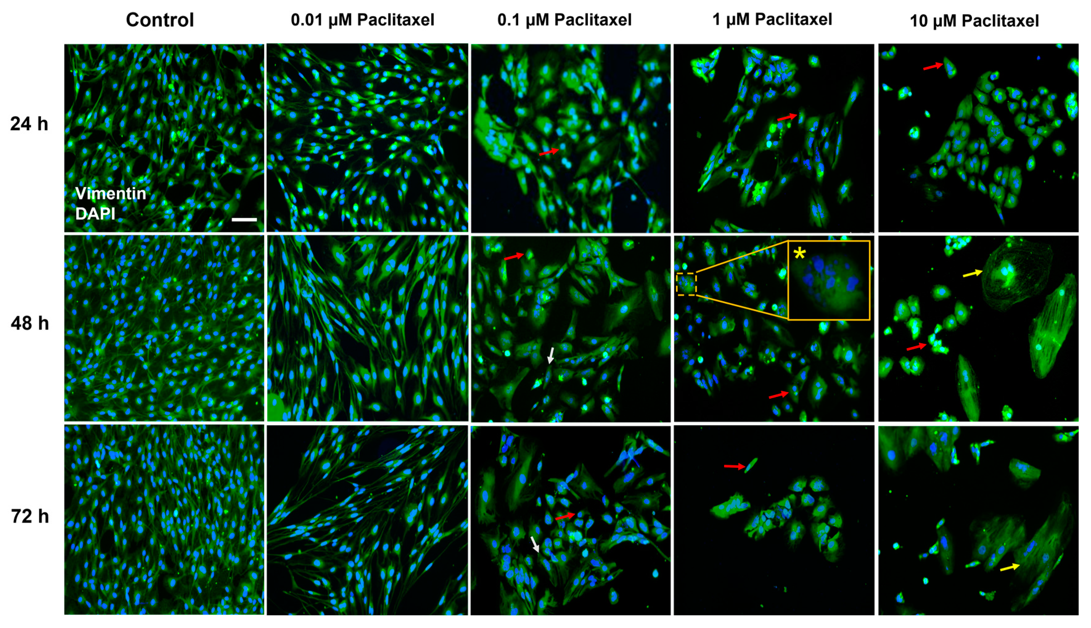 Toxics 11 00581 g008
