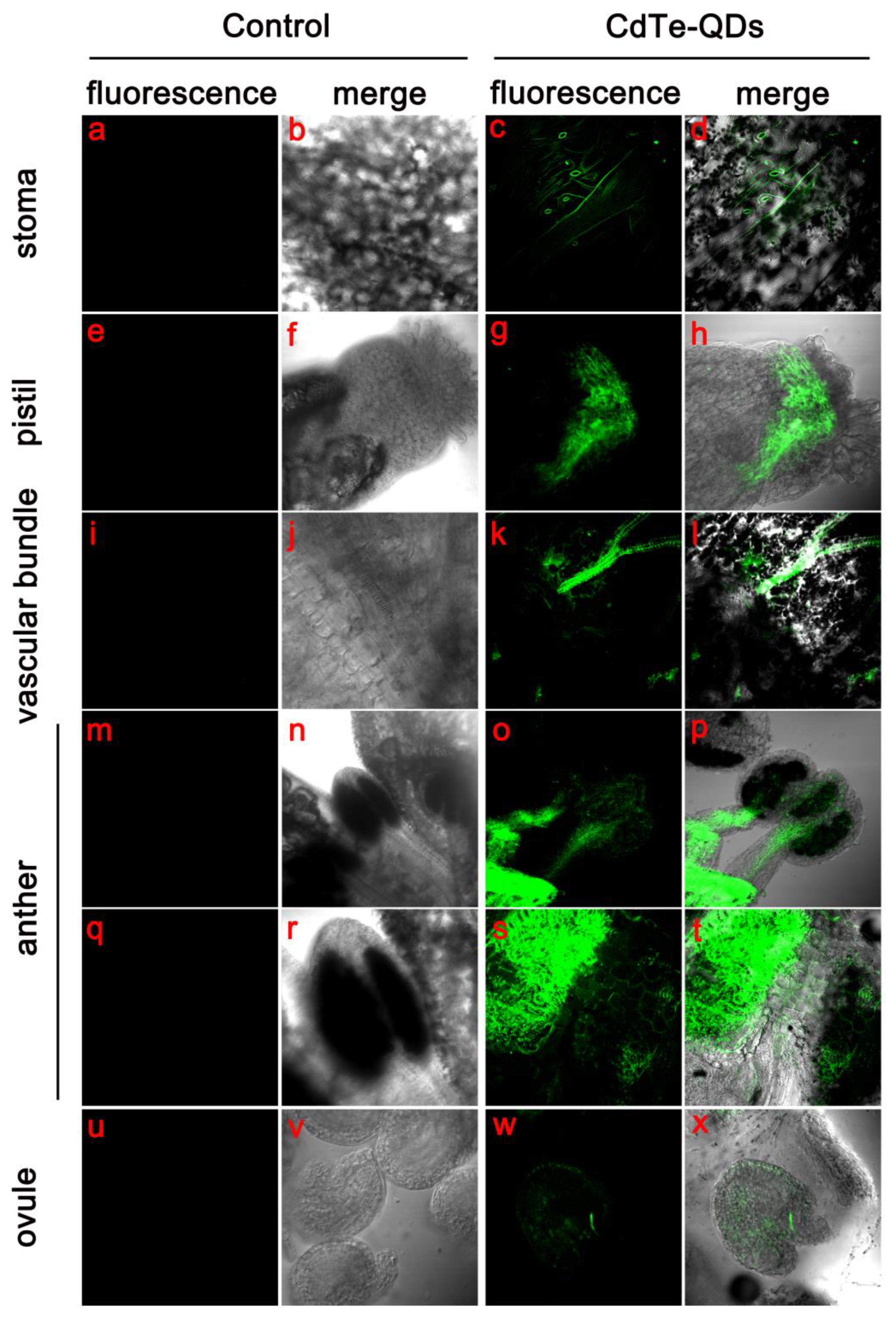 Toxics 11 00585 g003