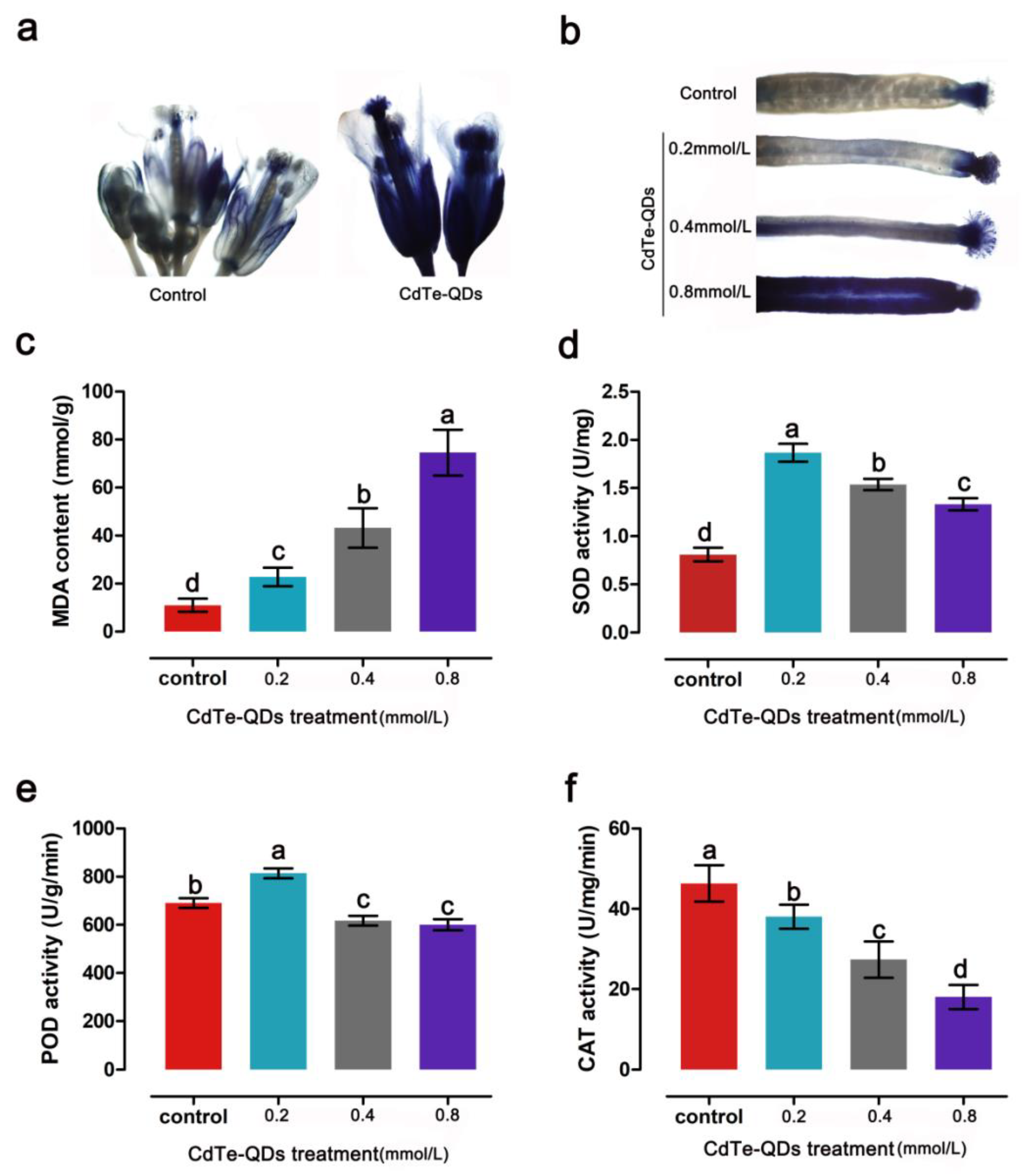 Toxics 11 00585 g006