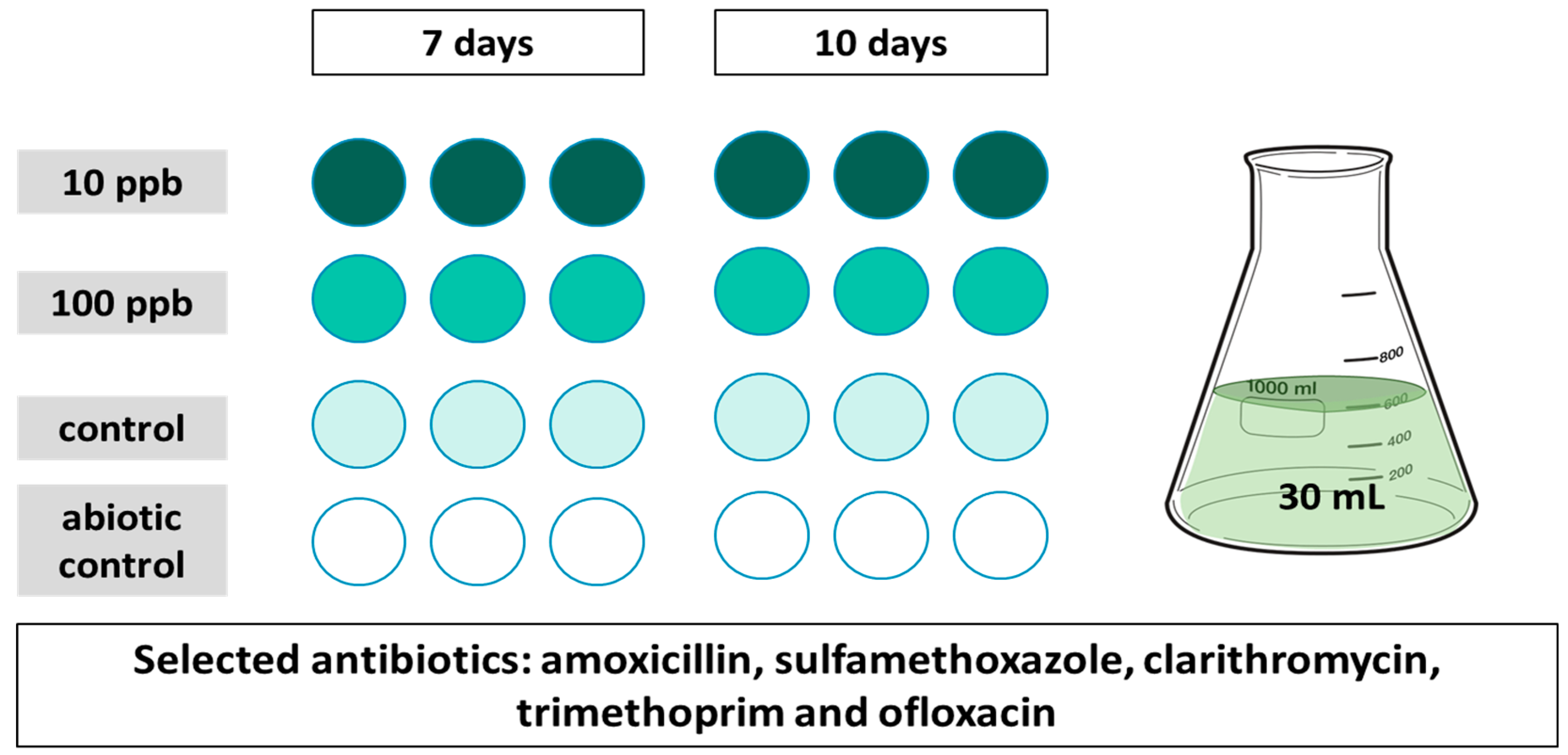 Toxics 11 00588 g001