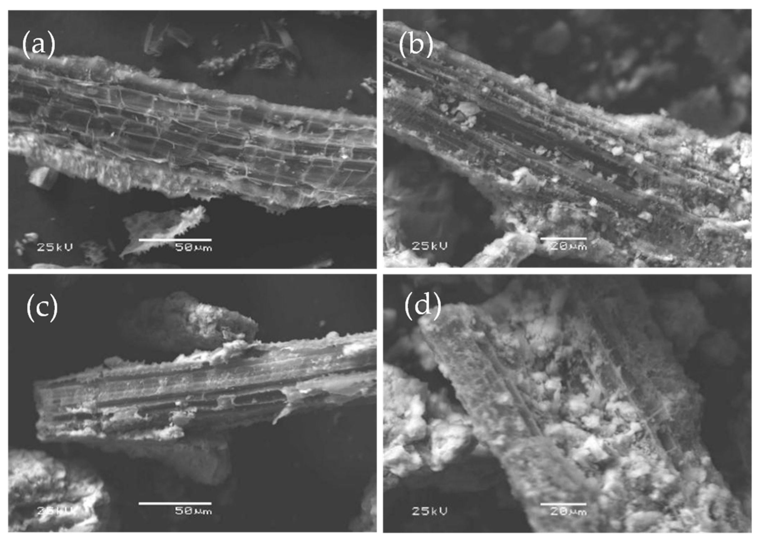 Toxics 11 00590 g007