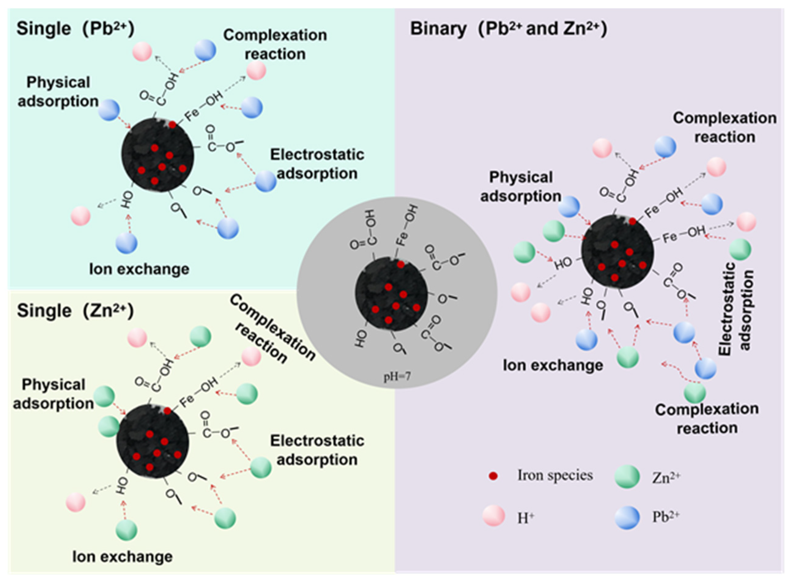 Toxics 11 00590 g010