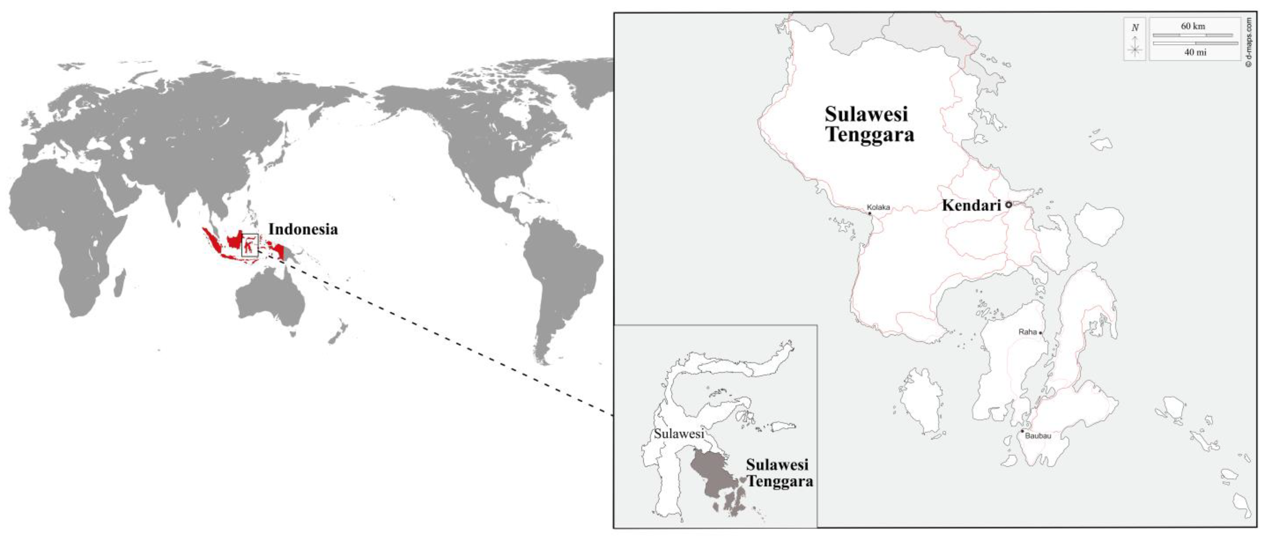 Toxics 11 00592 g001
