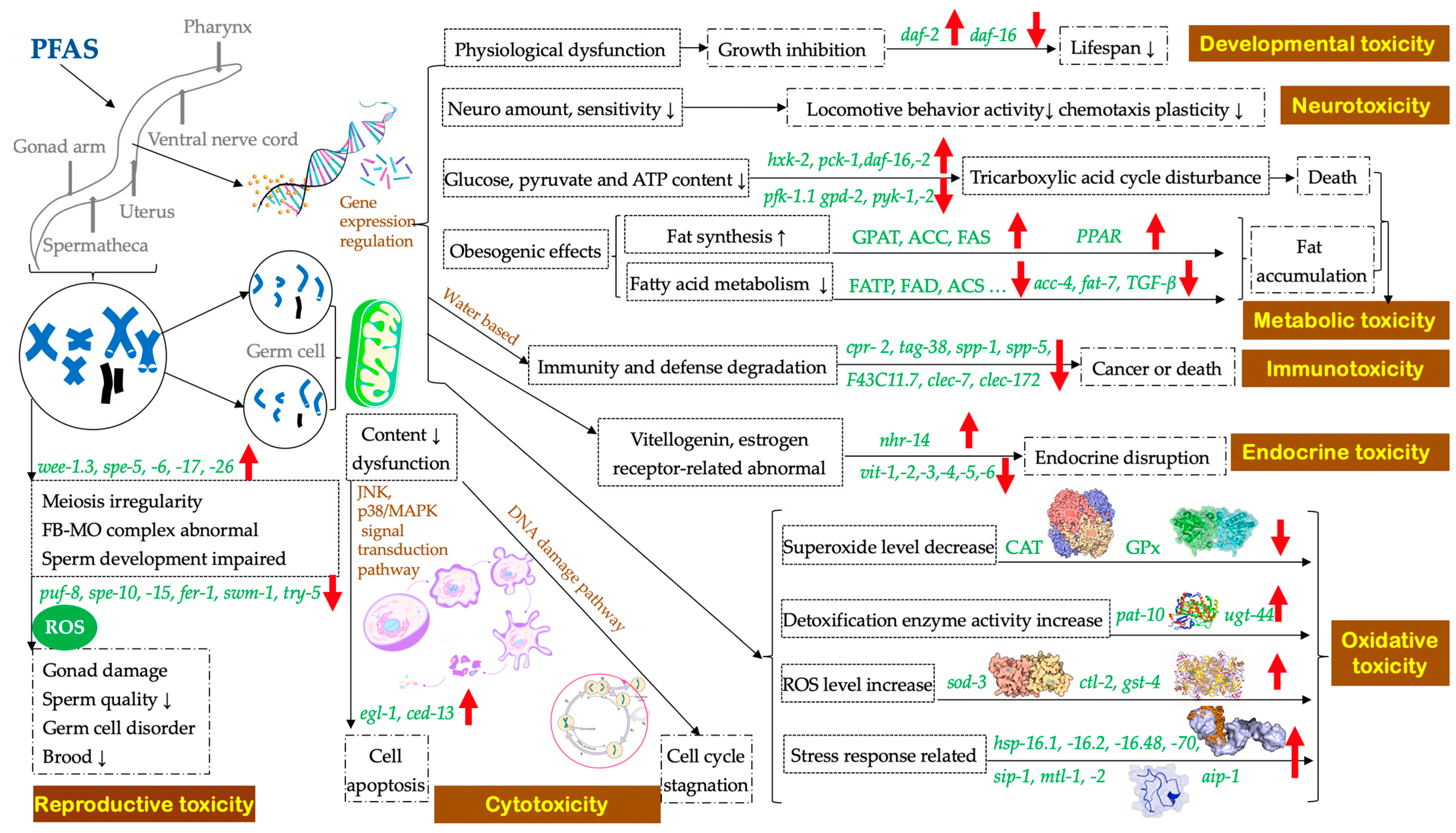 Toxics 11 00593 g001 Toxics 11 00593 g001