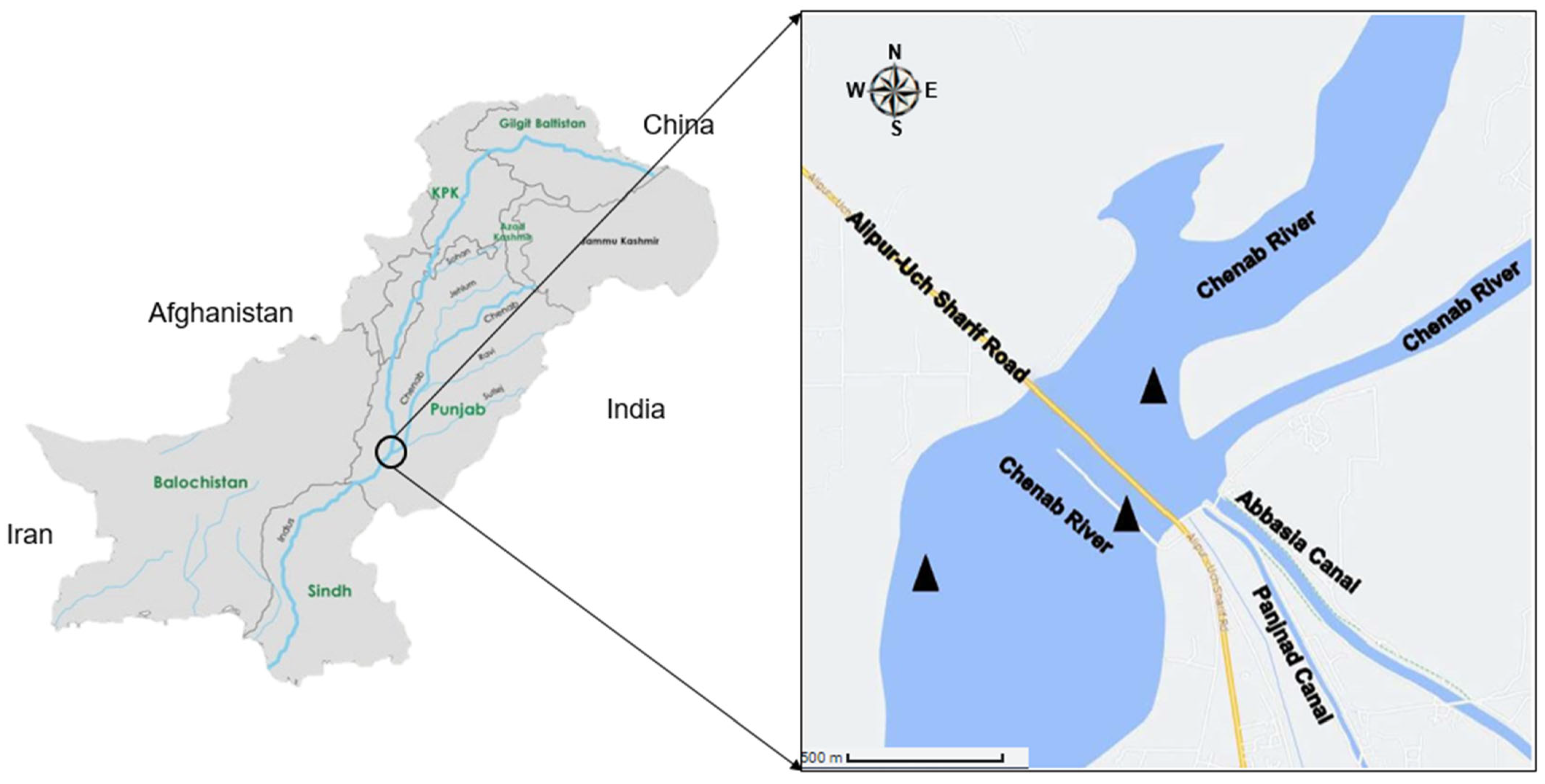 Toxics 11 00596 g001