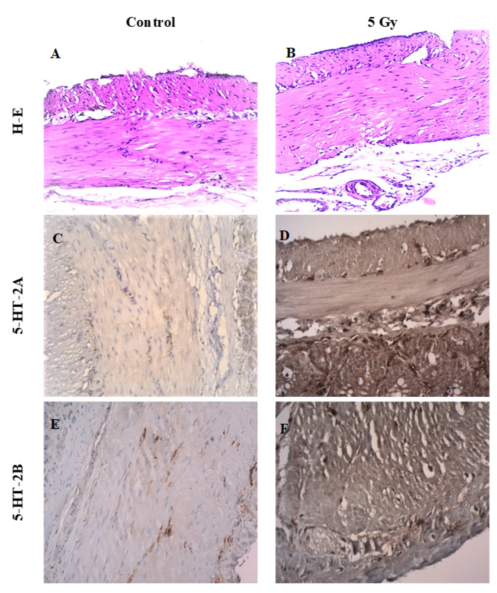 Toxics 11 00603 g002 Toxics 11 00603 g002