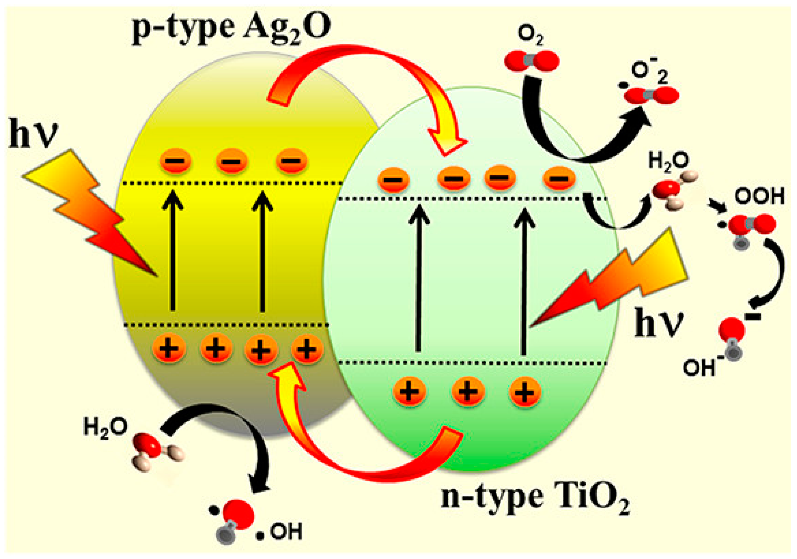 Toxics 11 00604 g003 Toxics 11 00604 g003