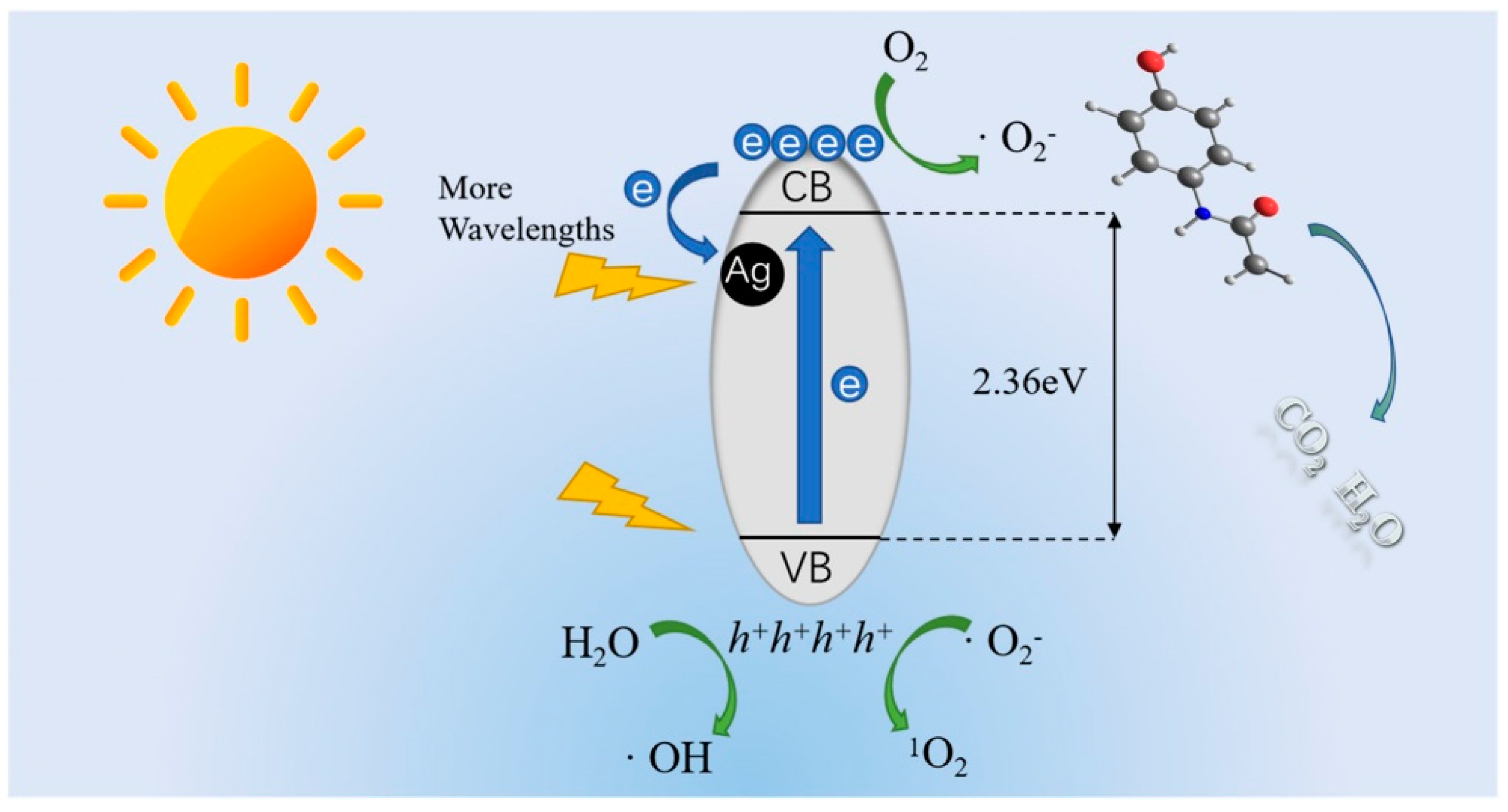 Toxics 11 00604 g005 Toxics 11 00604 g005