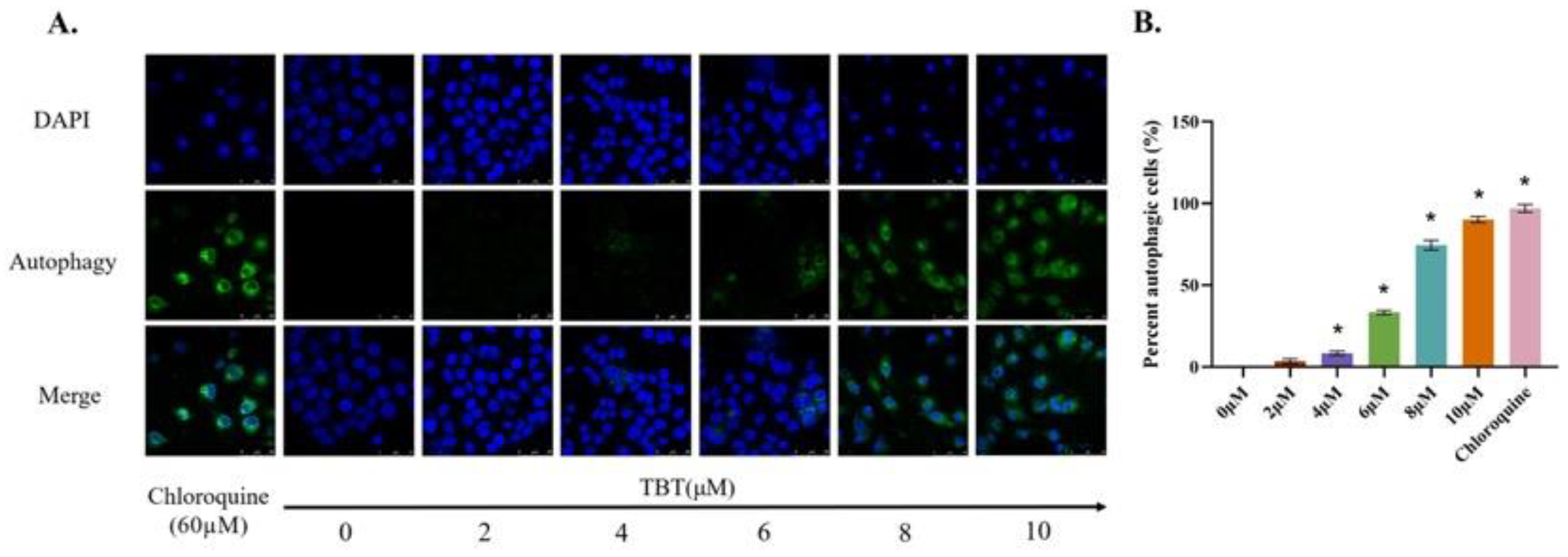 Toxics 11 00607 g004