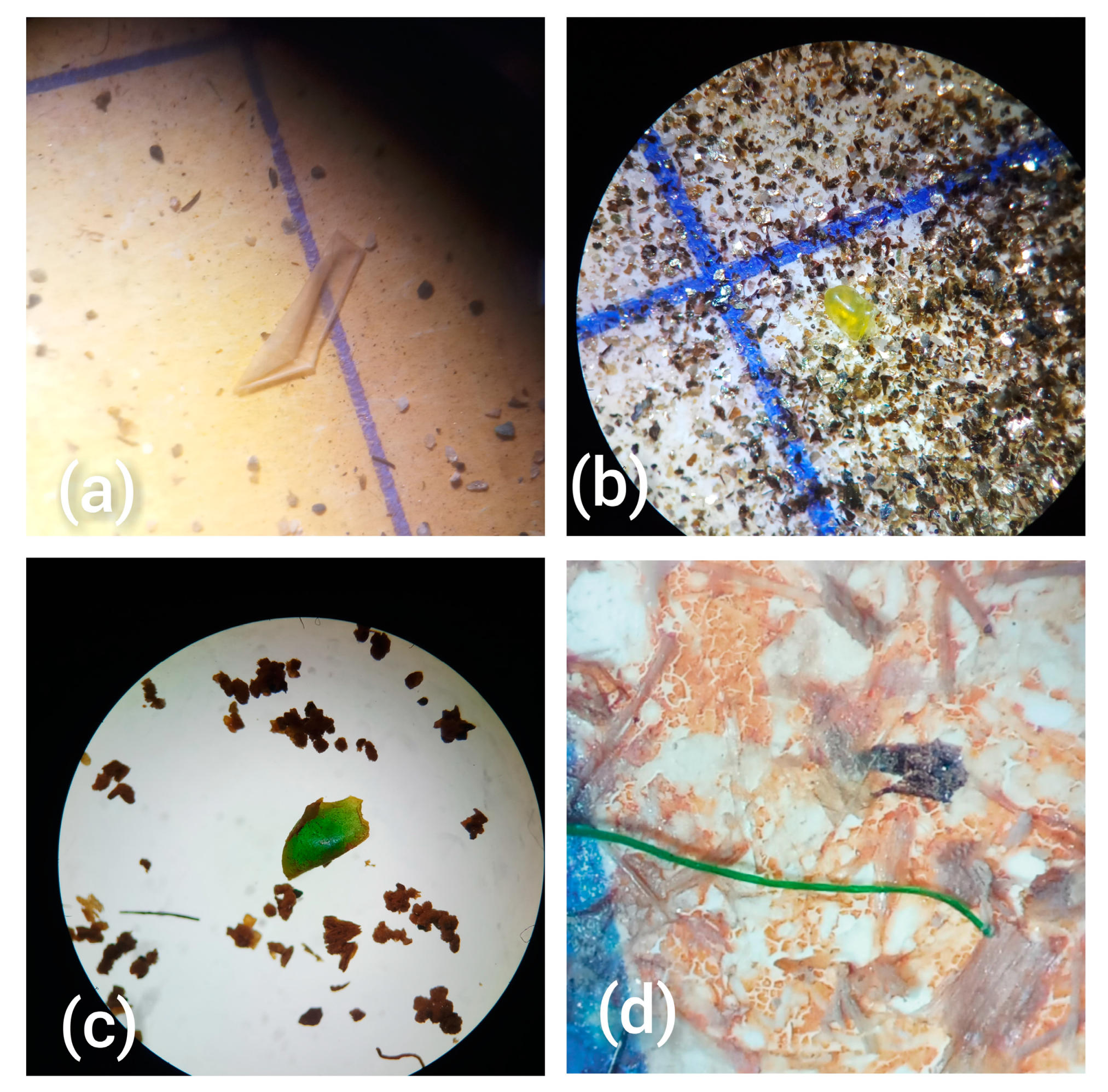 Toxics 11 00612 g001