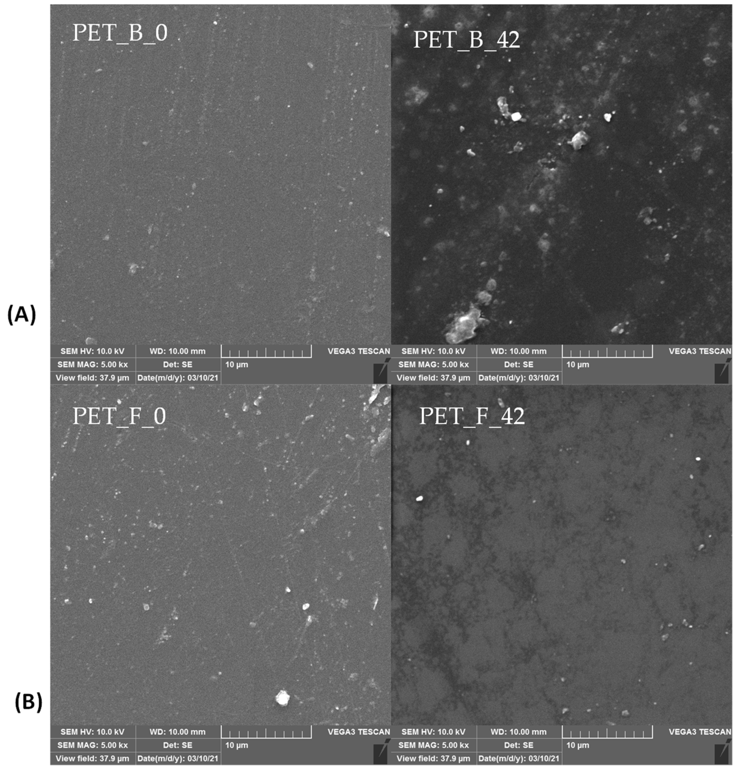 Toxics 11 00615 g001