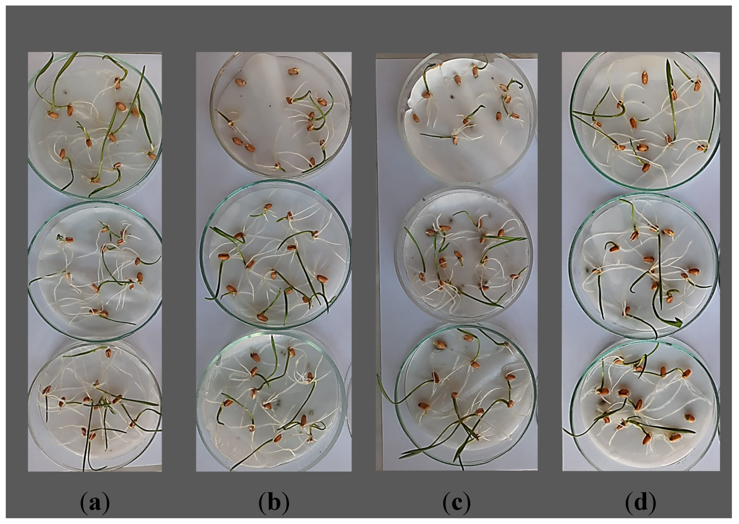 Toxics 11 00618 g001