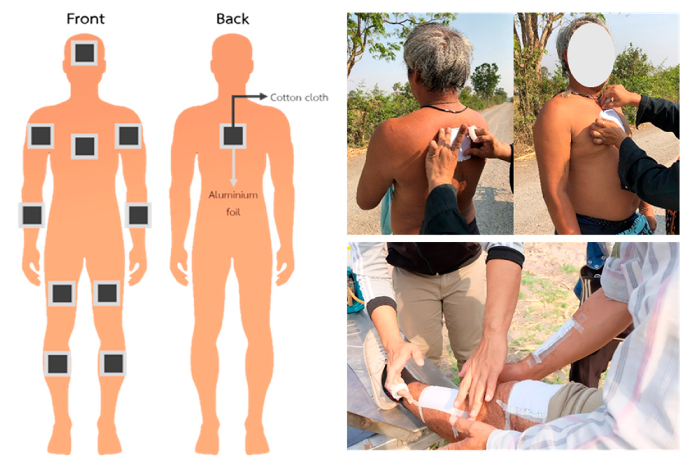 Toxics 11 00622 g001