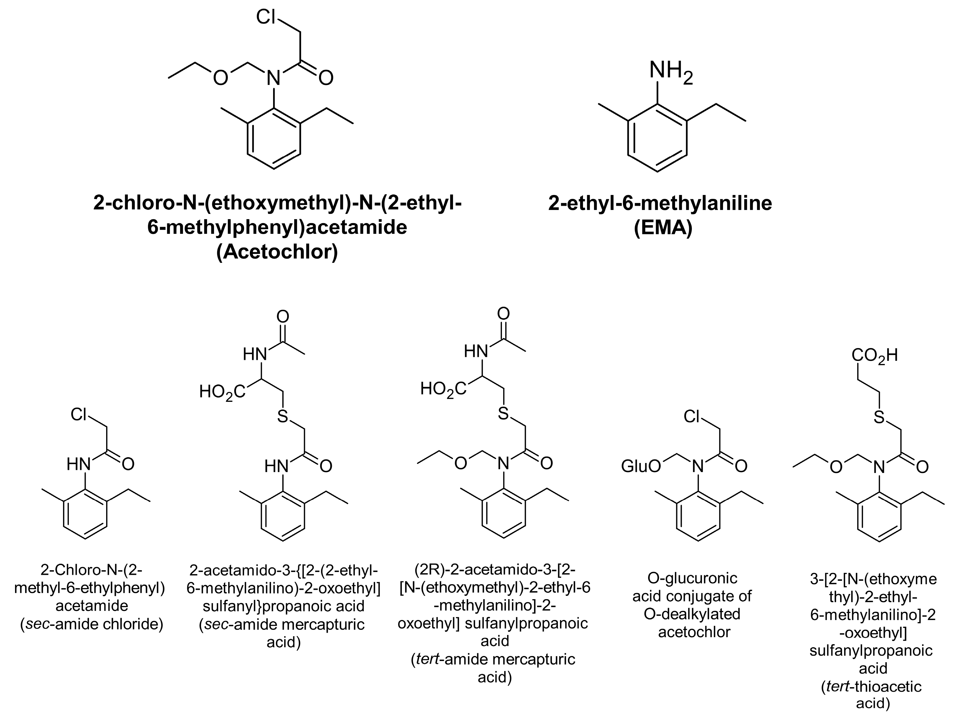 Toxics 11 00622 g002
