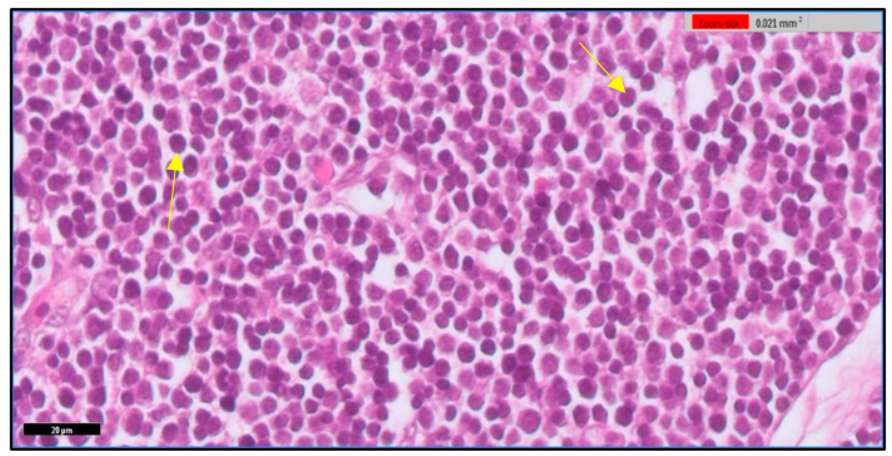 Toxics 11 00625 g002 Toxics 11 00625 g002