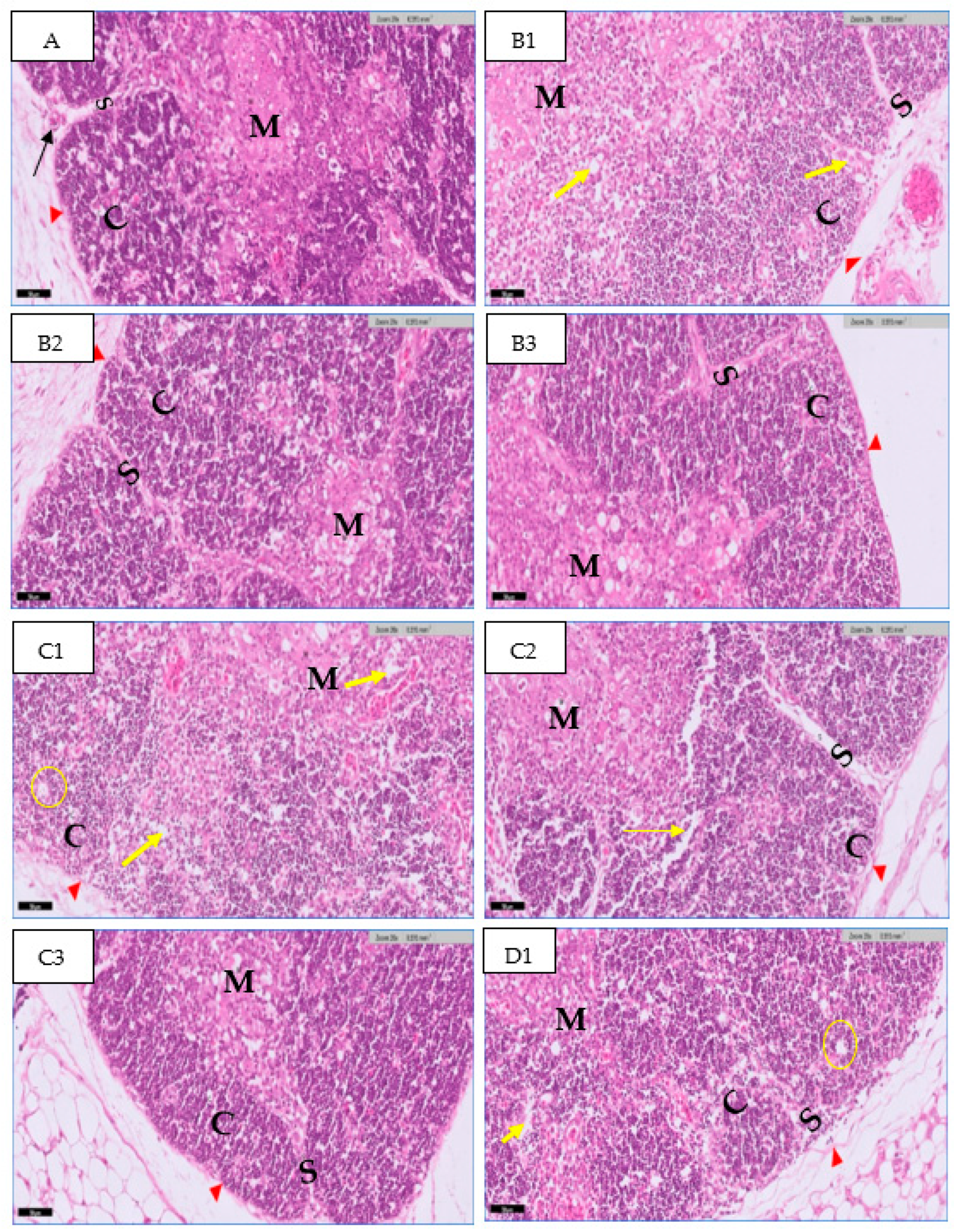 Toxics 11 00625 g006 Toxics 11 00625 g006