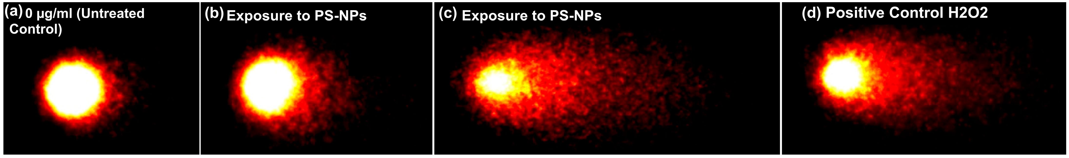 Toxics 11 00627 g001 Toxics 11 00627 g001