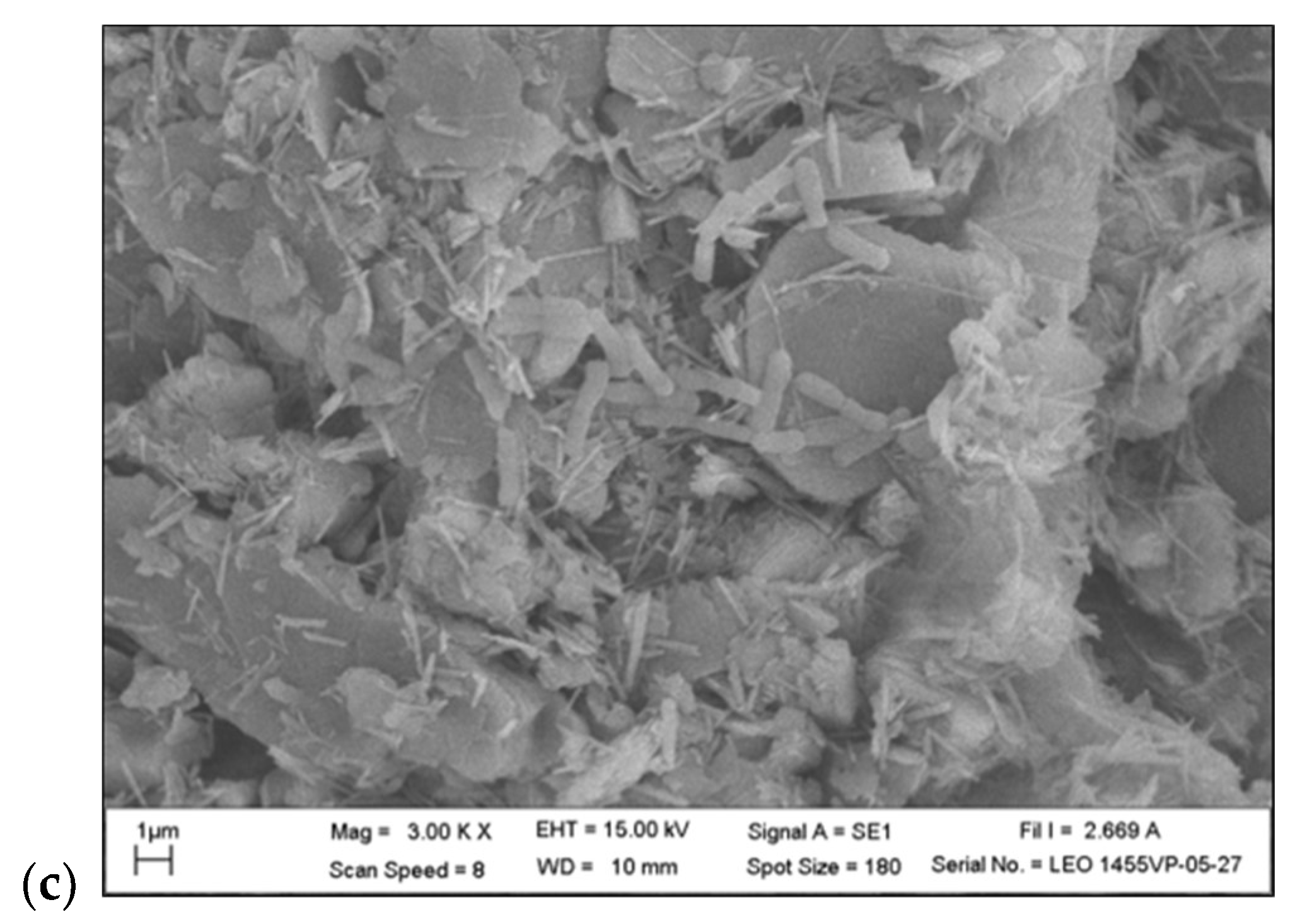 Toxics 11 00638 g001b