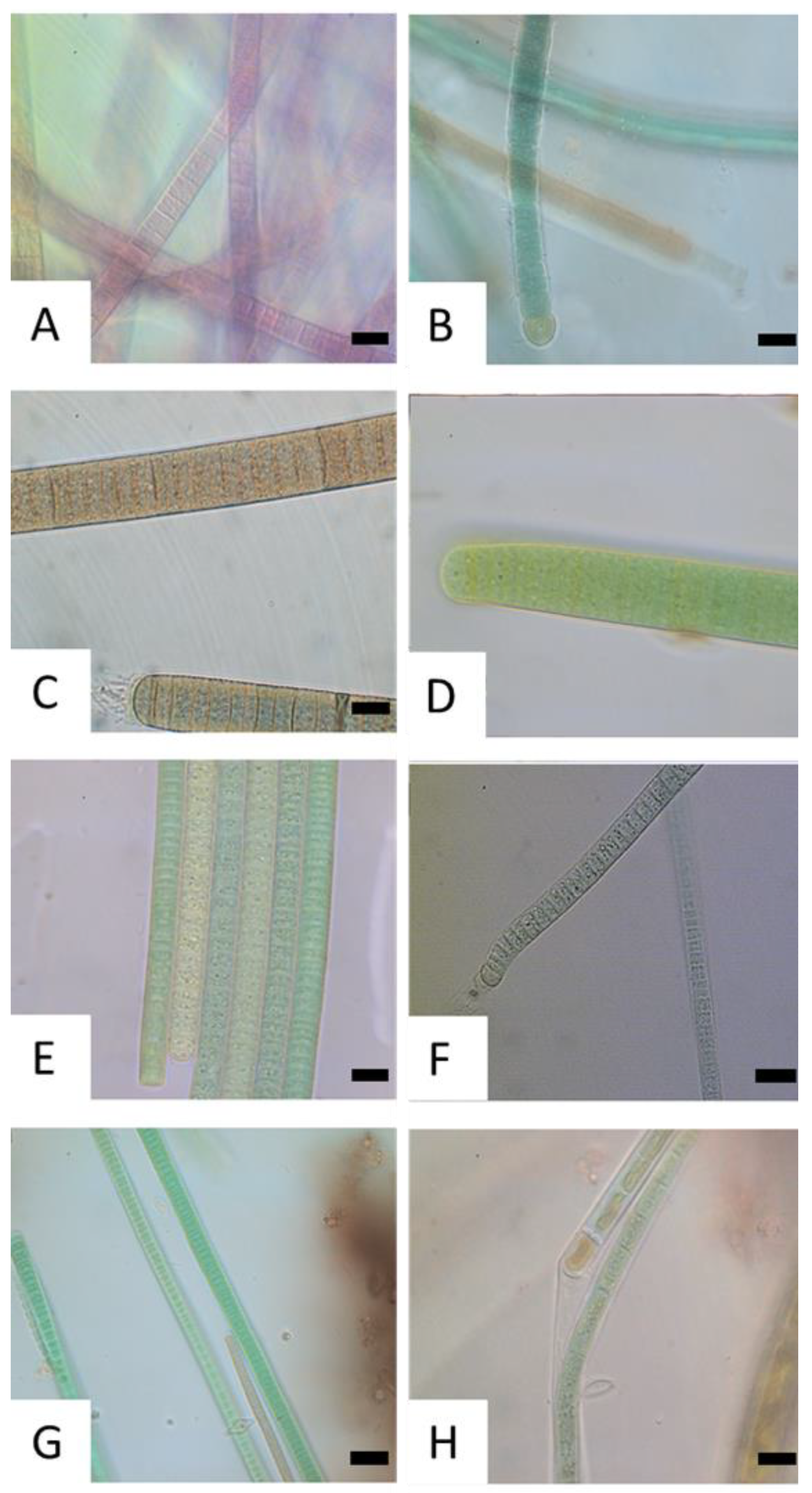 Toxics 11 00643 g003