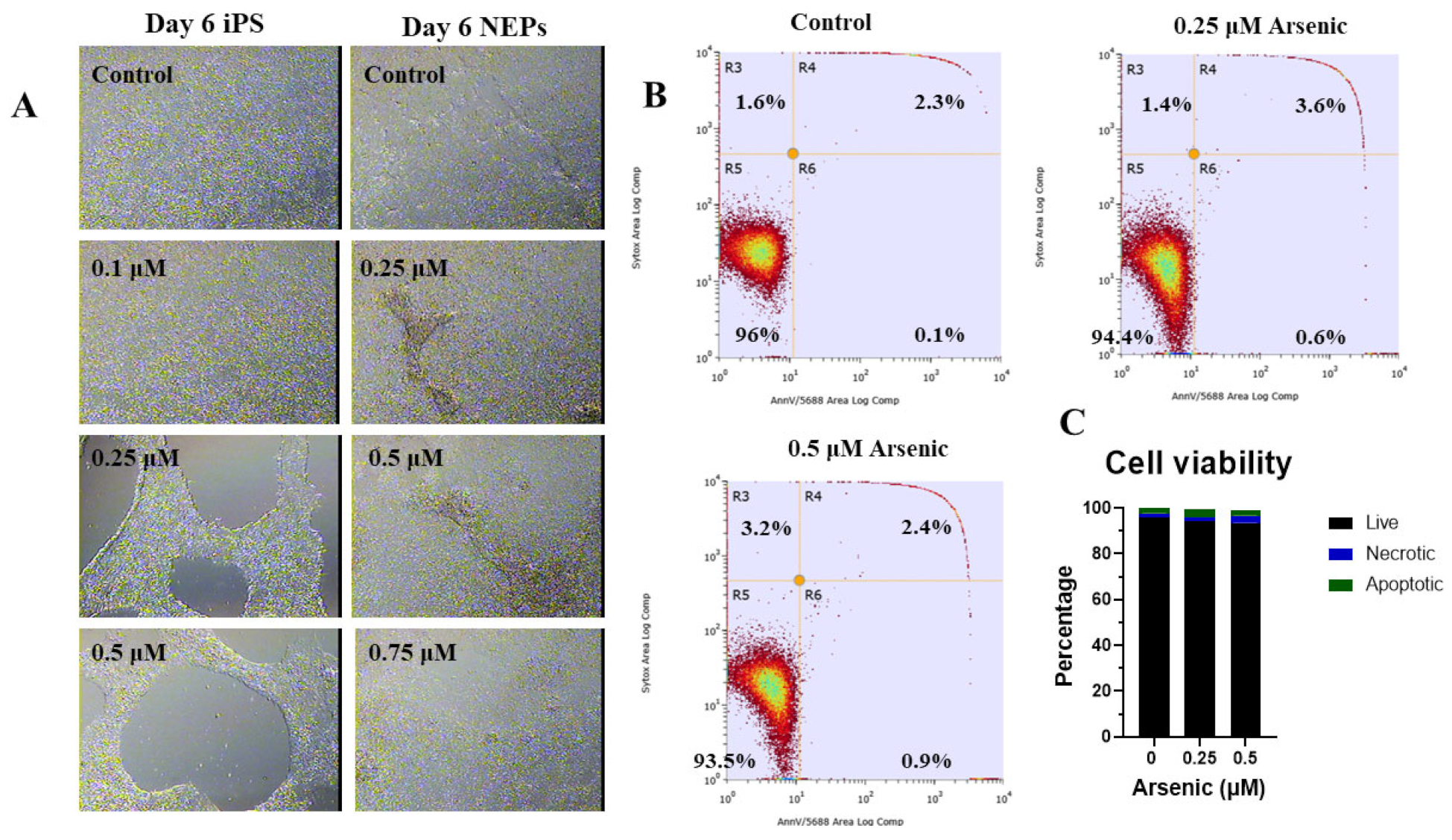 Toxics 11 00644 g001 Toxics 11 00644 g001