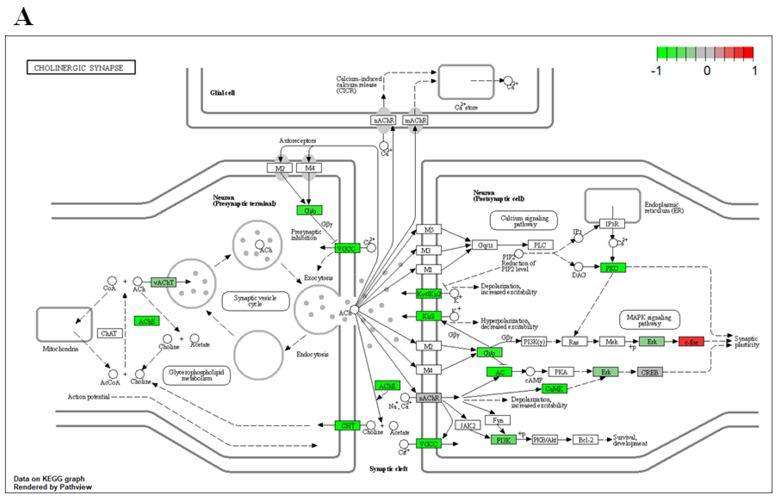 Toxics 11 00644 g008a Toxics 11 00644 g008a