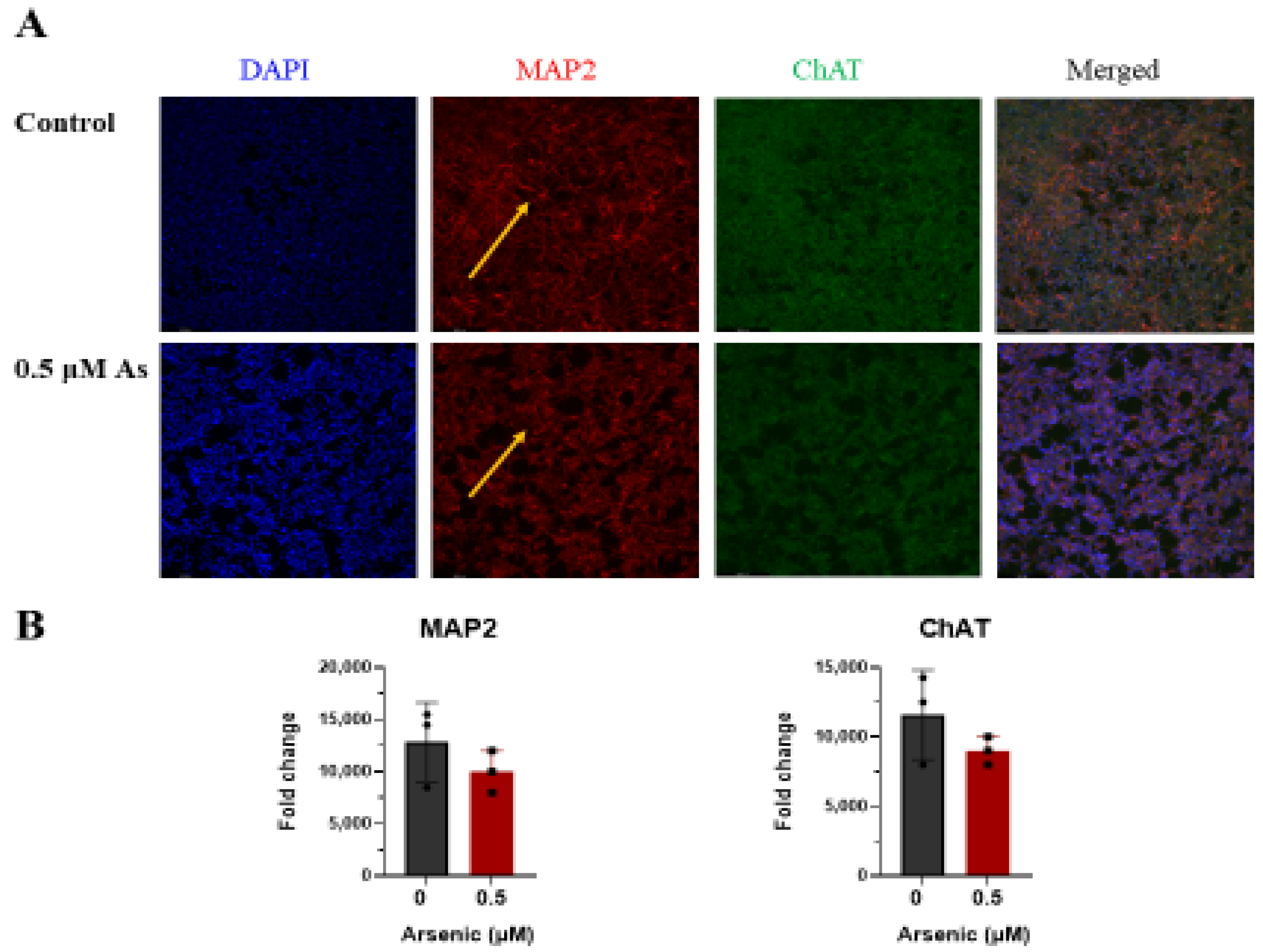 Toxics 11 00644 g009 Toxics 11 00644 g009