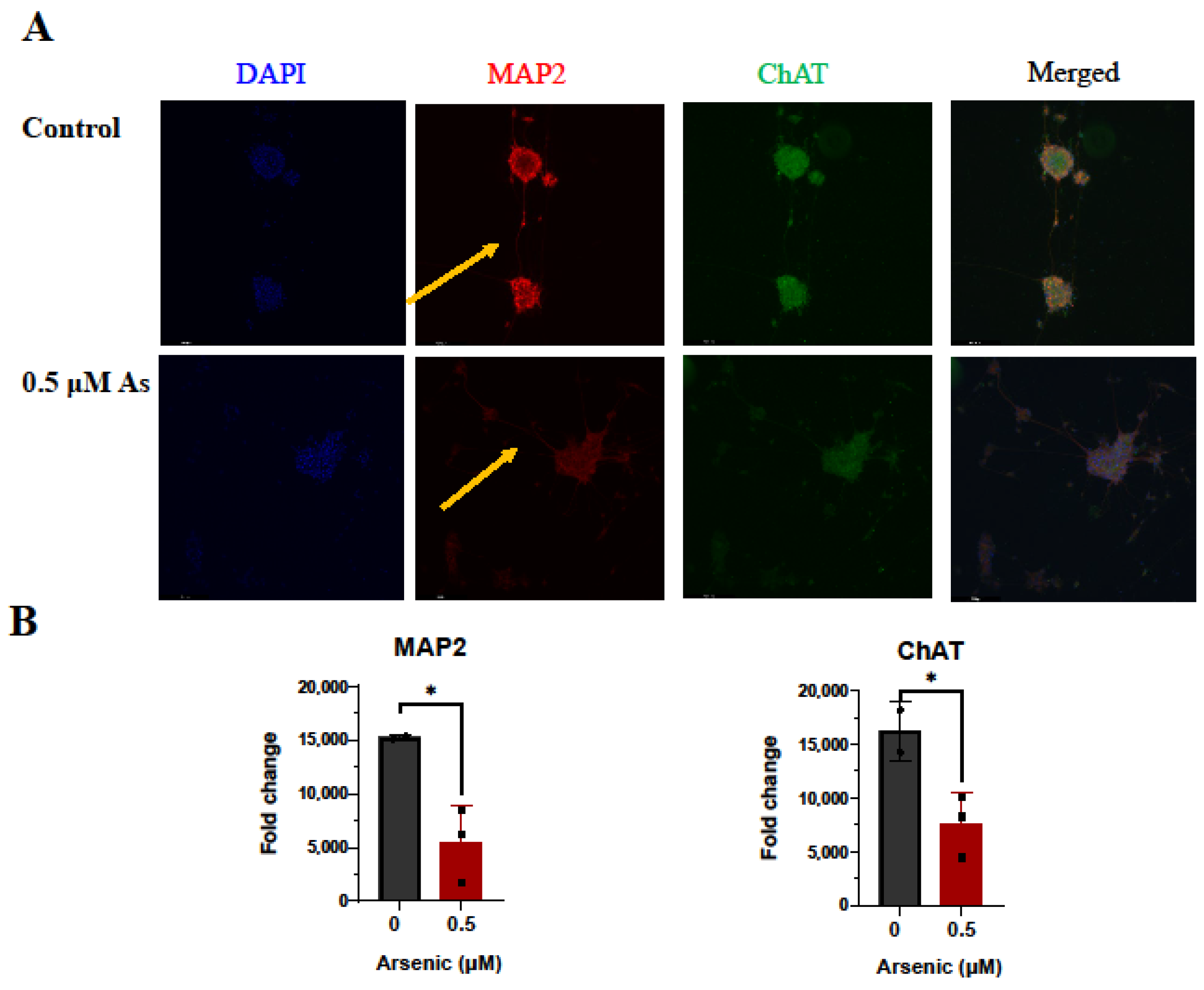Toxics 11 00644 g010a Toxics 11 00644 g010a