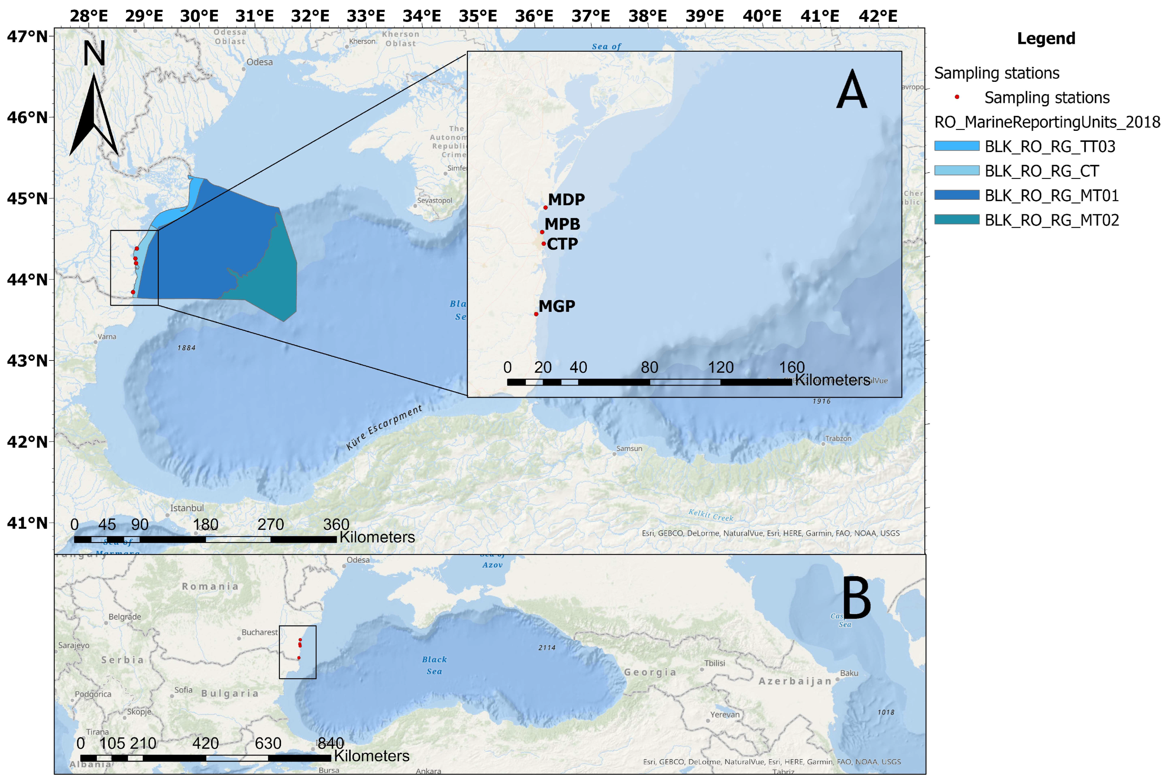 Toxics 11 00649 g001