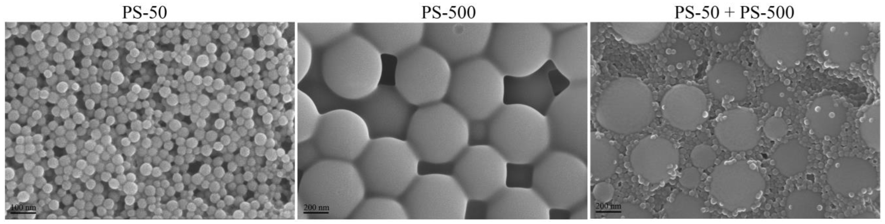 Toxics 11 00653 g001