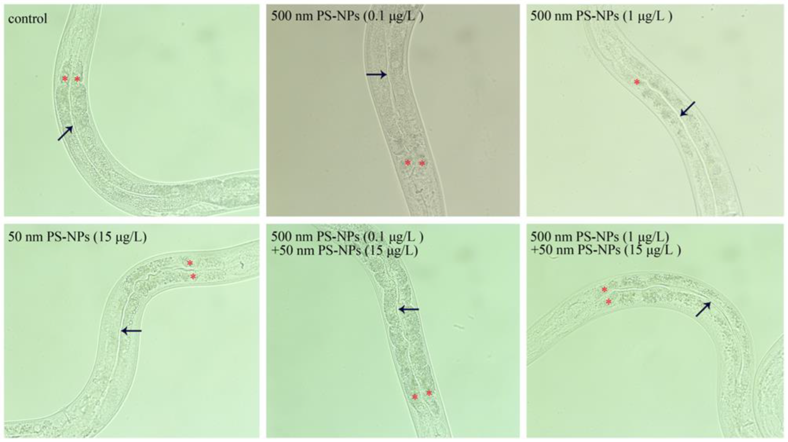 Toxics 11 00653 g003
