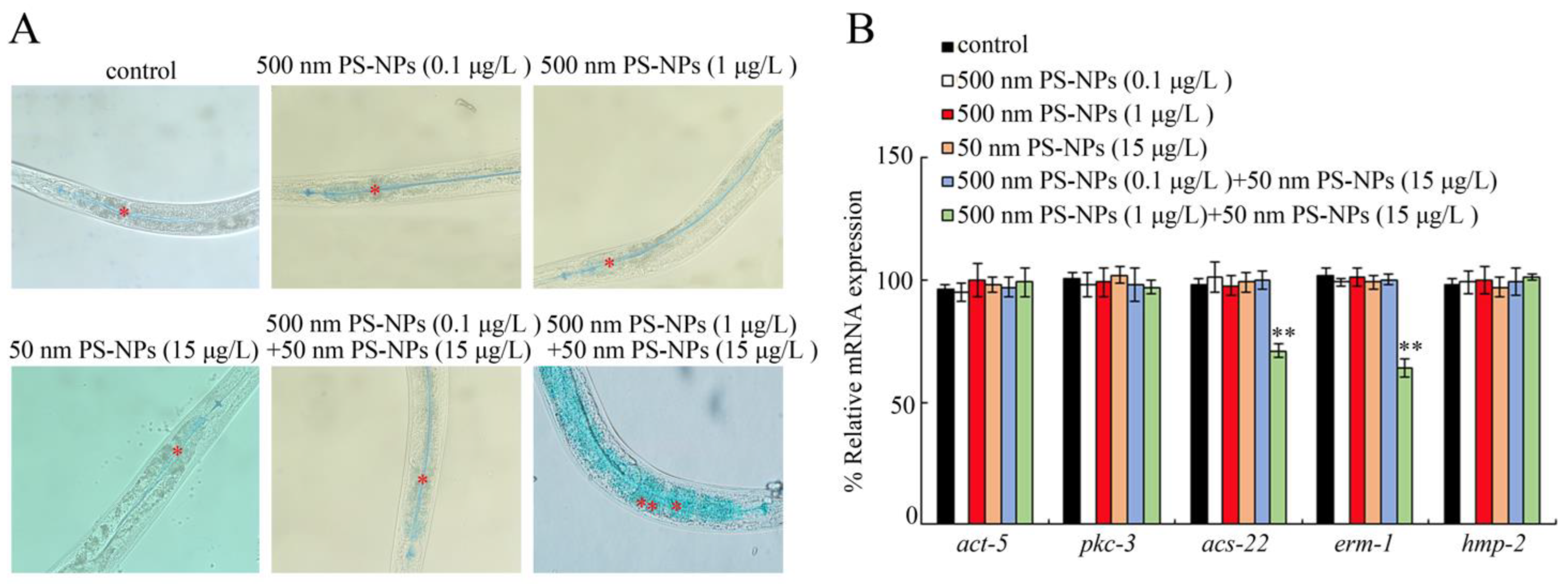 Toxics 11 00653 g004
