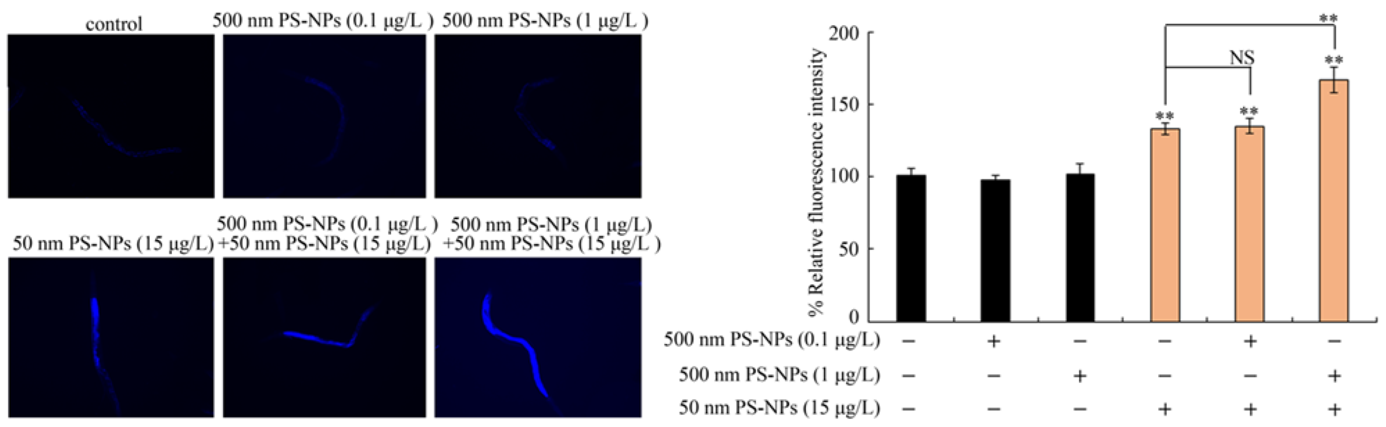 Toxics 11 00653 g005