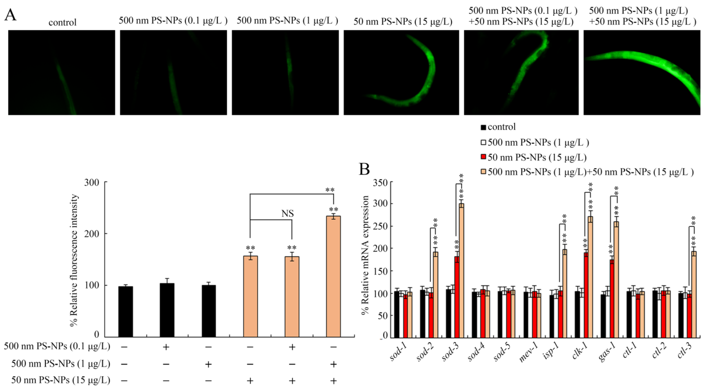 Toxics 11 00653 g006