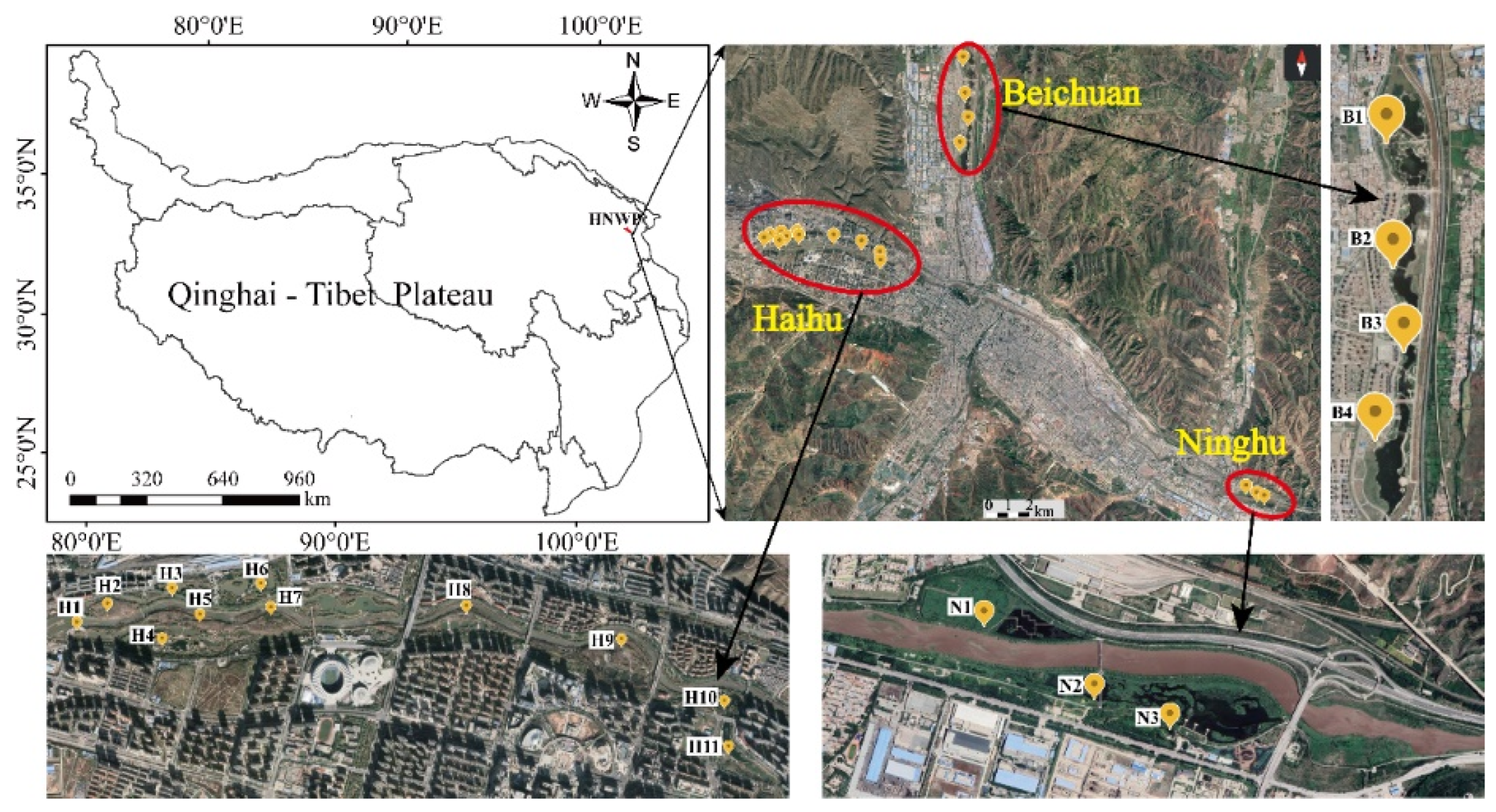 Toxics 11 00654 g001