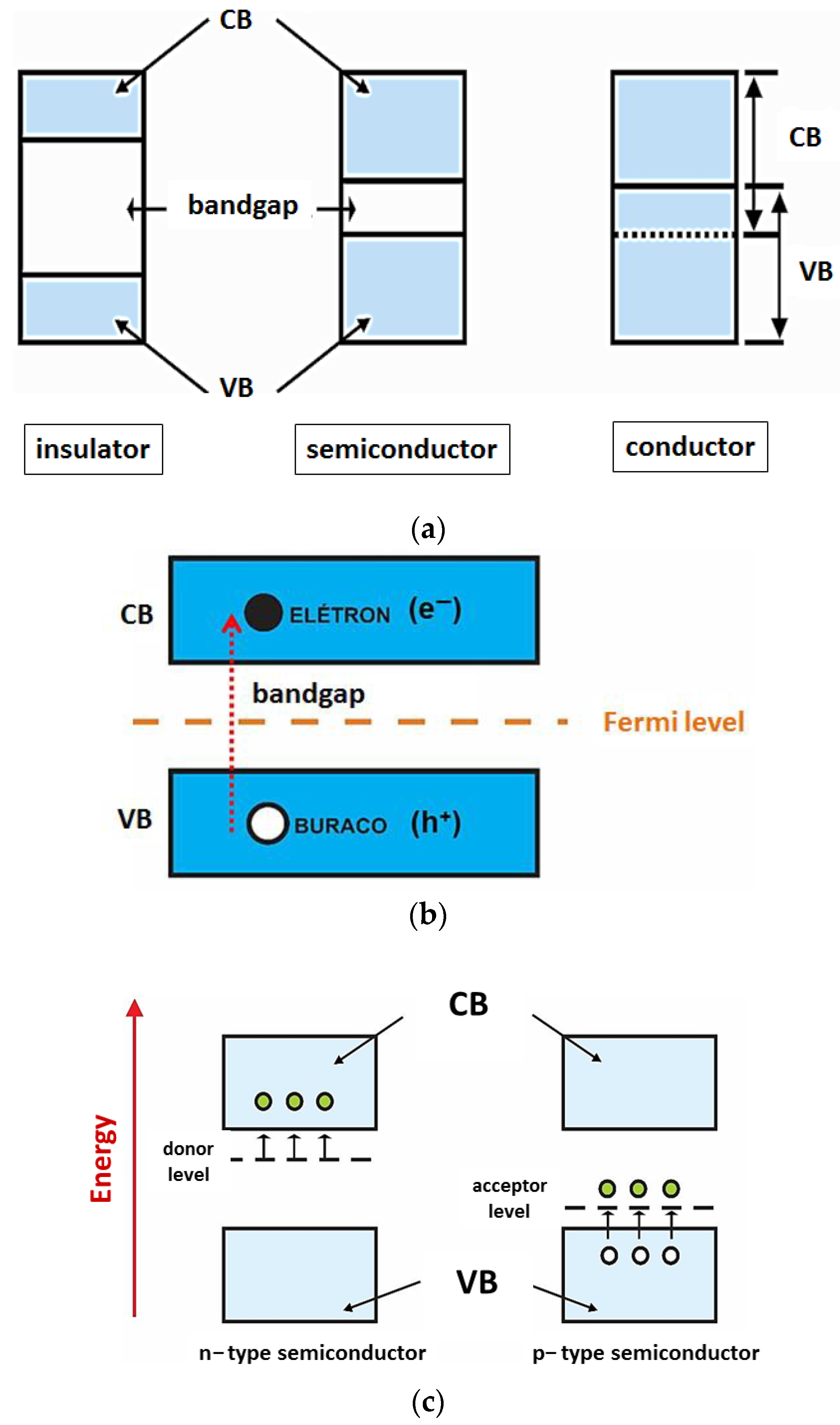 Toxics 11 00658 g001