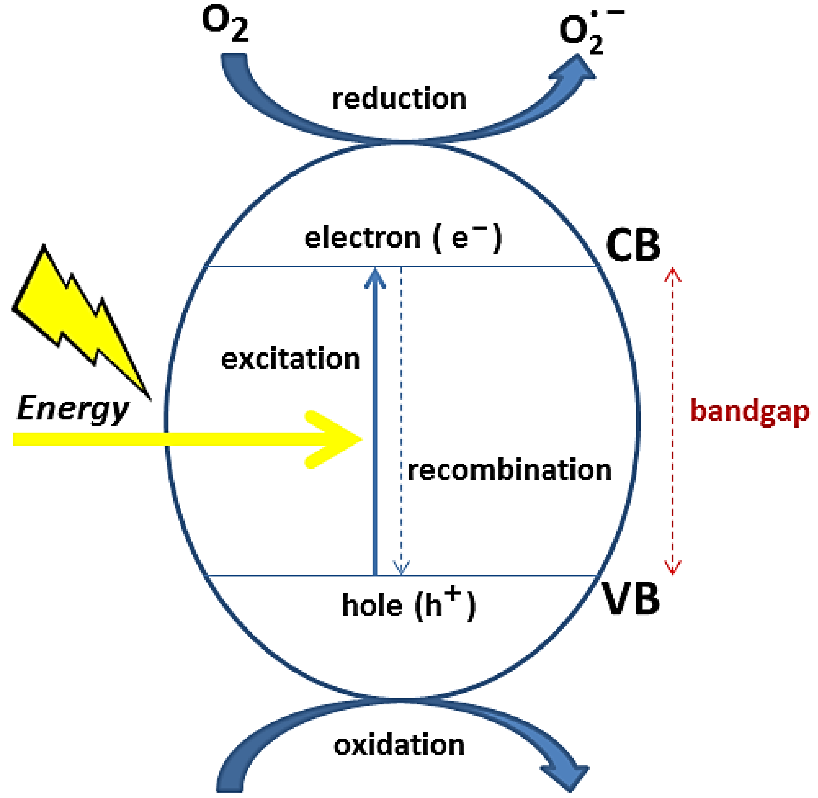 Toxics 11 00658 g002